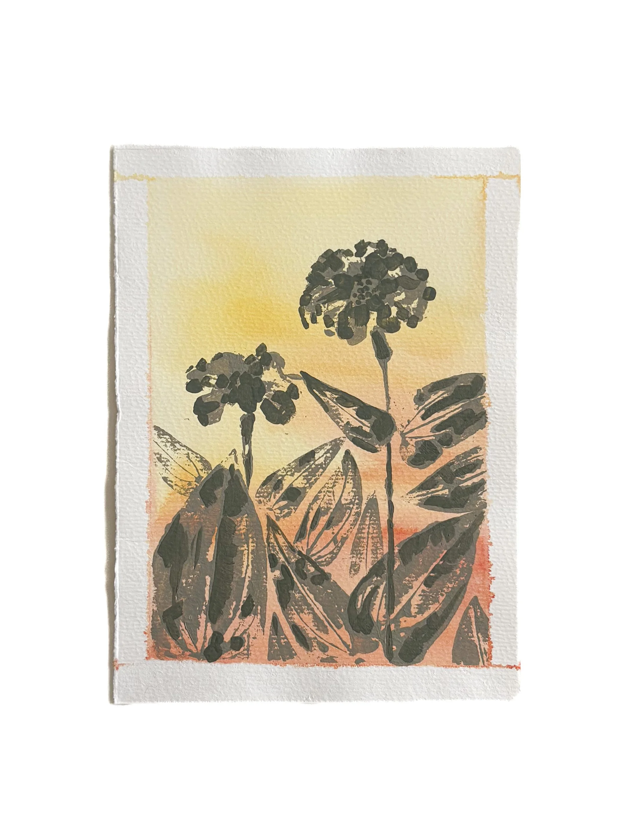 Zinnia 2