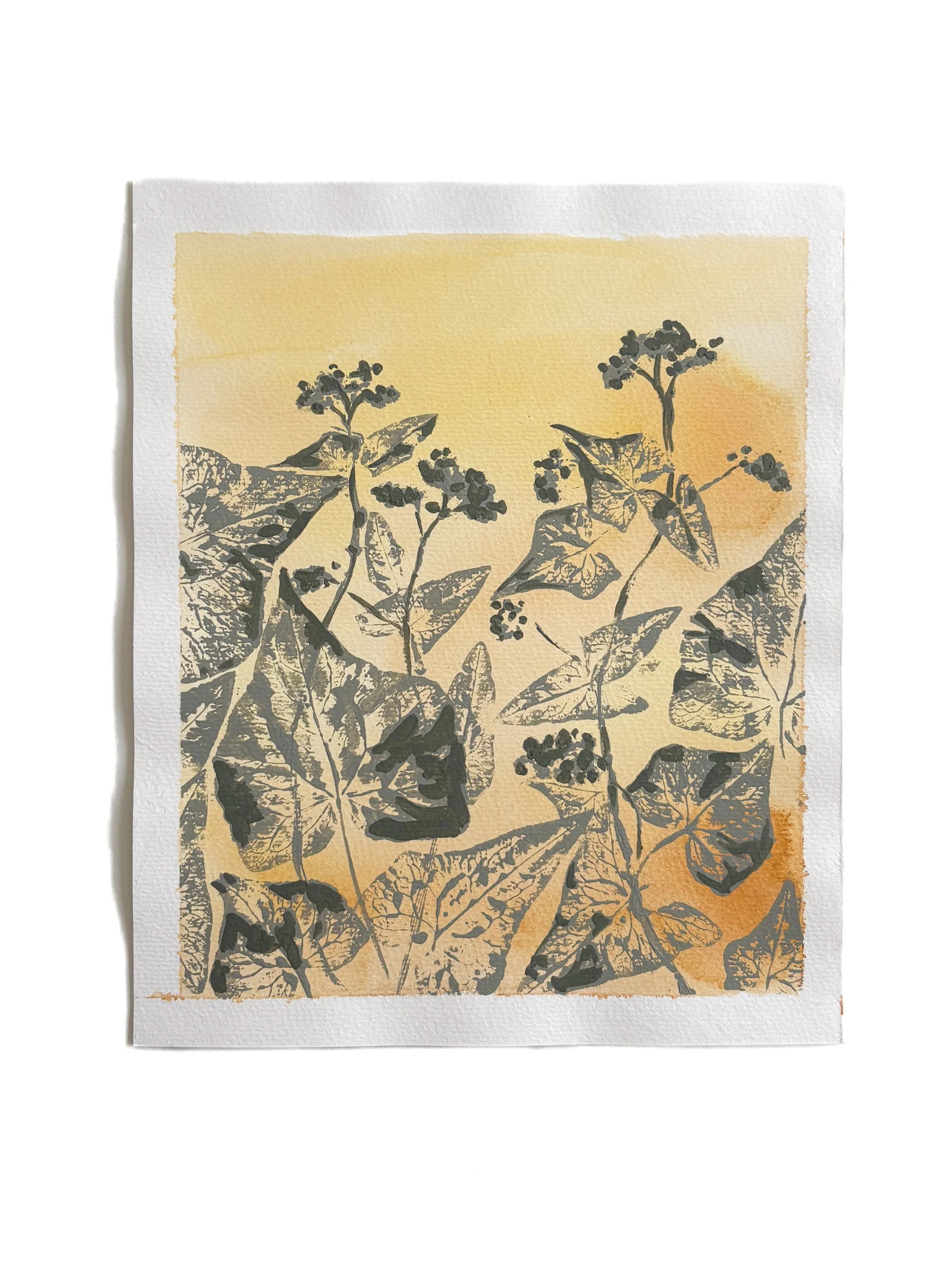 Buckwheat Flower 3