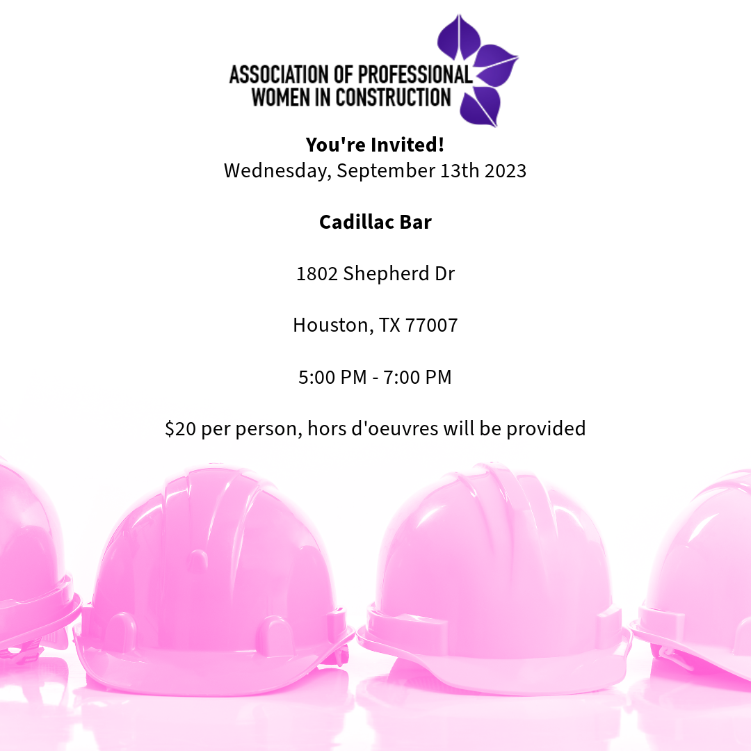 September 2023 Houston Connection Hour — Association Of Professional ...