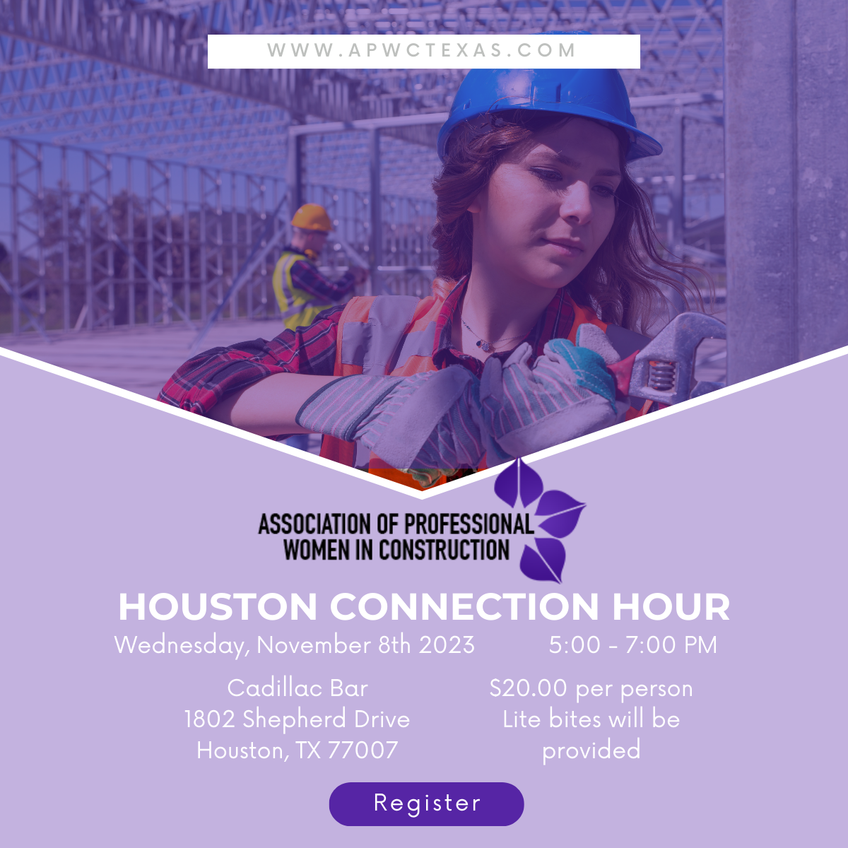 Houston November Connection Hour — Association Of Professional Women In ...