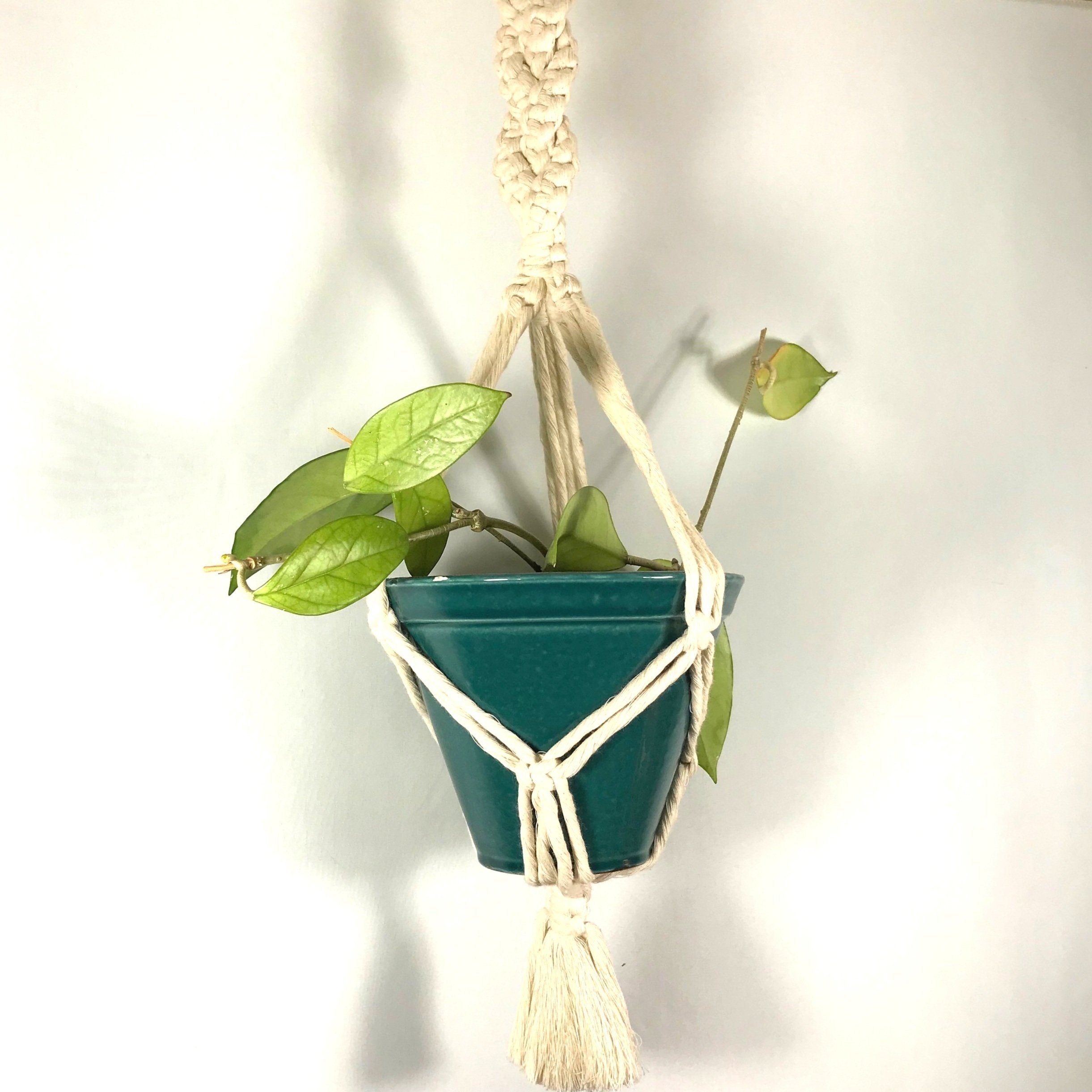 Braided Plant Hanger