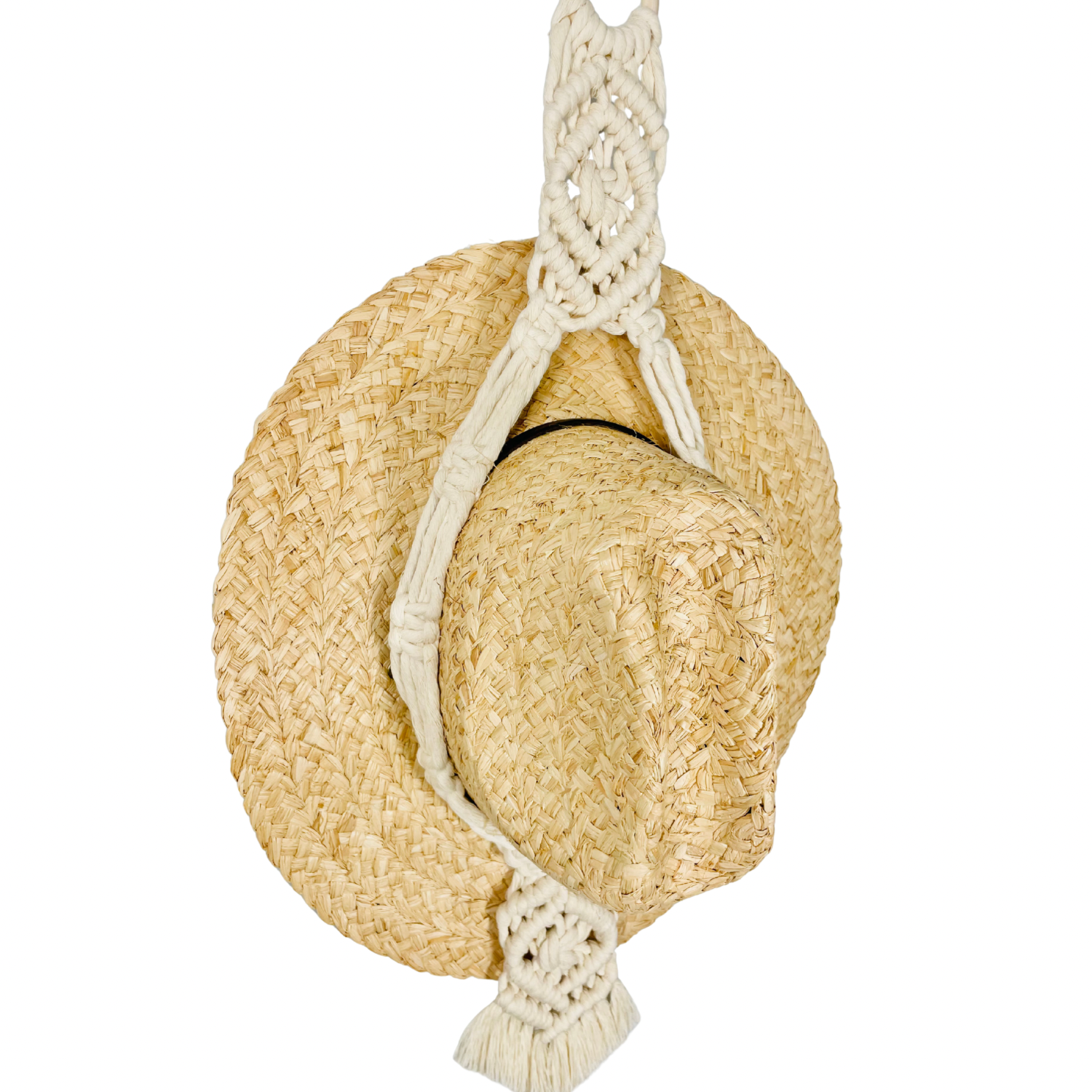 Untitled design - 1.png