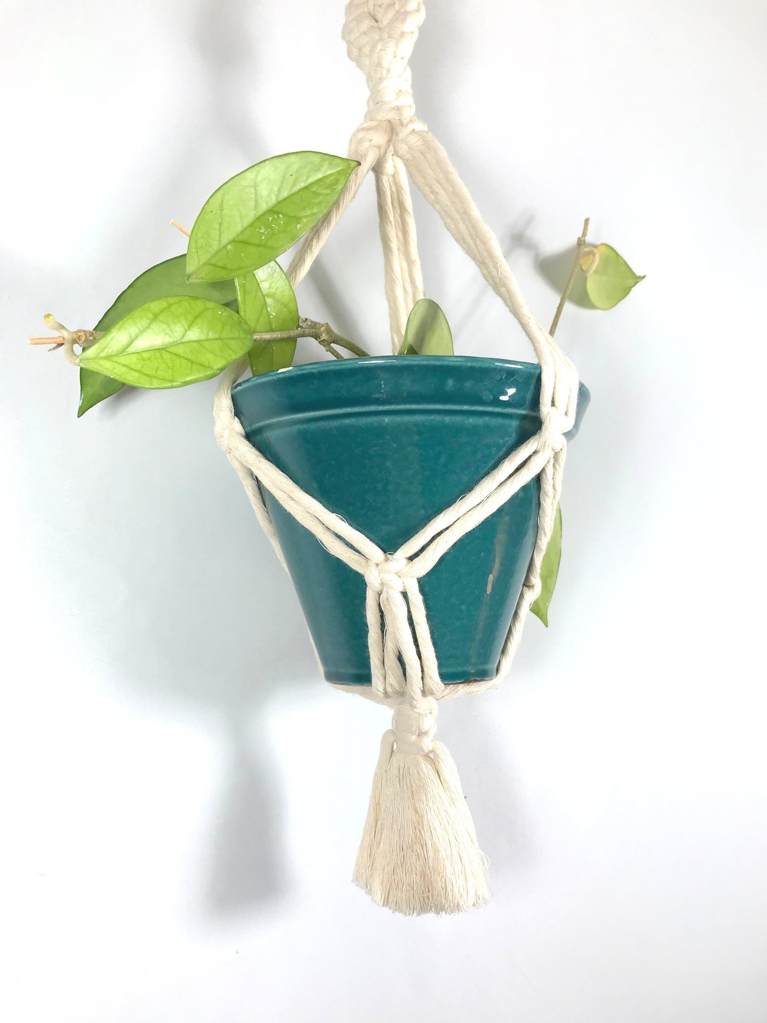 Braided Plant Hanger