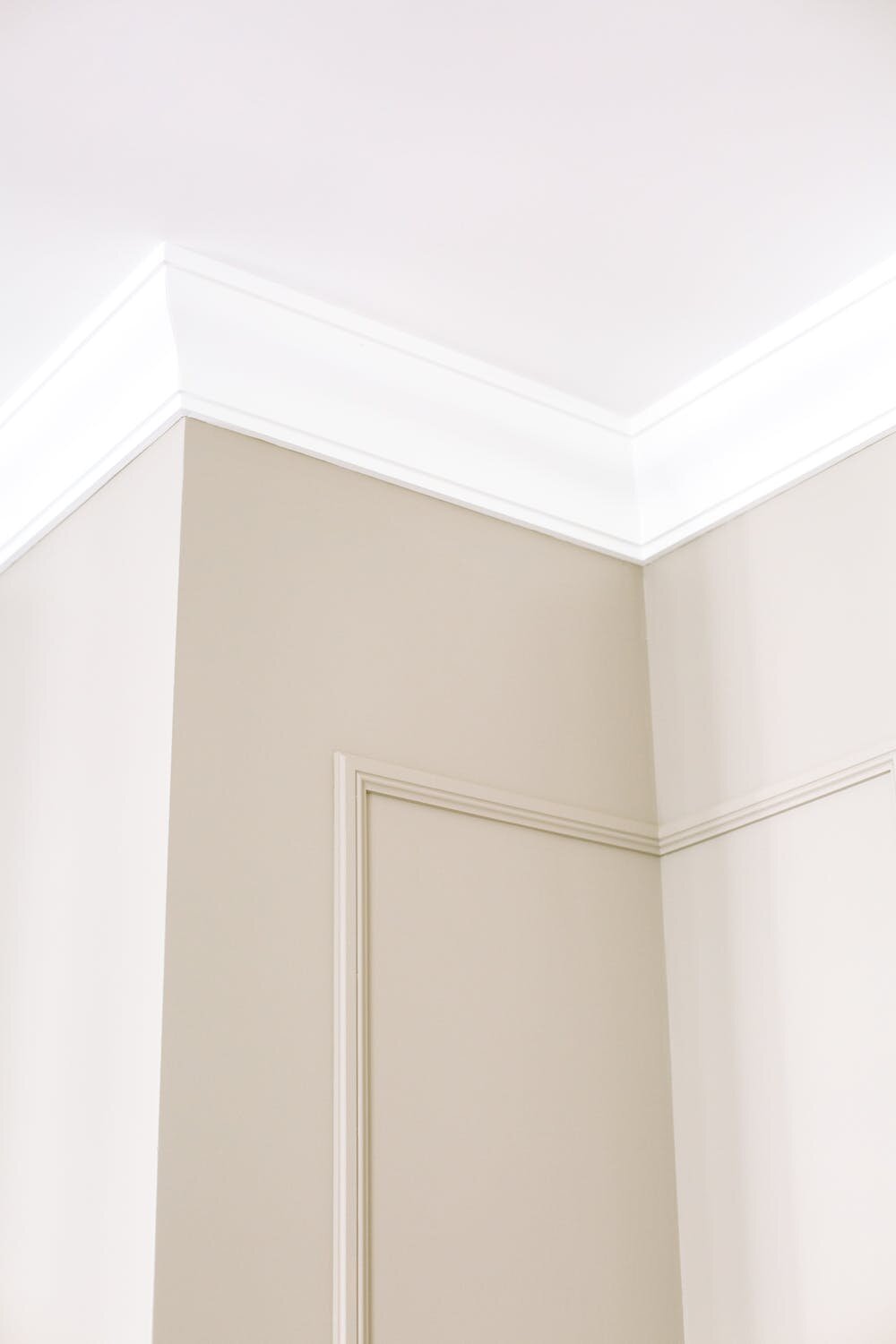 pexels-photo-3616770.jpeg
