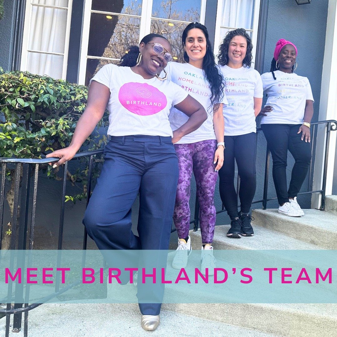 Meet the team behind Birthland...

To learn more about them click in the link in bio ⬆

.
.
.

#oaklandmidwife #oaklandbirth #eastbaymidwife #eastbaybirth #bayareamidwife #homebirth #prenatalcare #postpartumcare #oakland #eastbay #bayareamommy #oakla