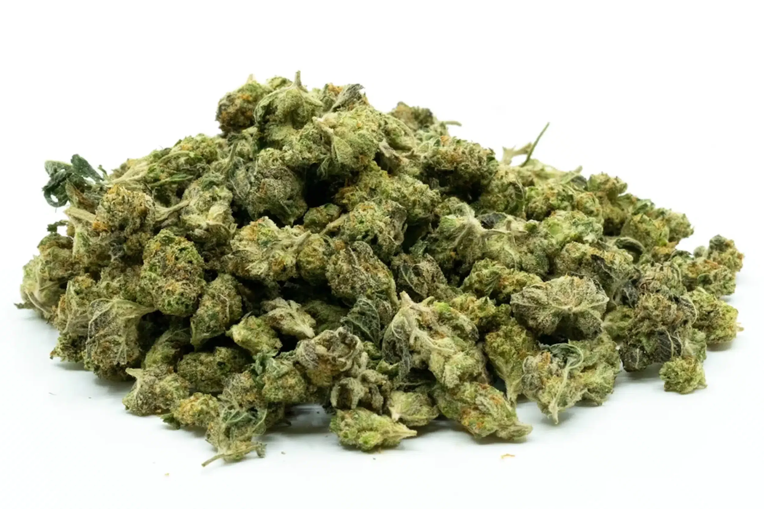 SPRING BUDS