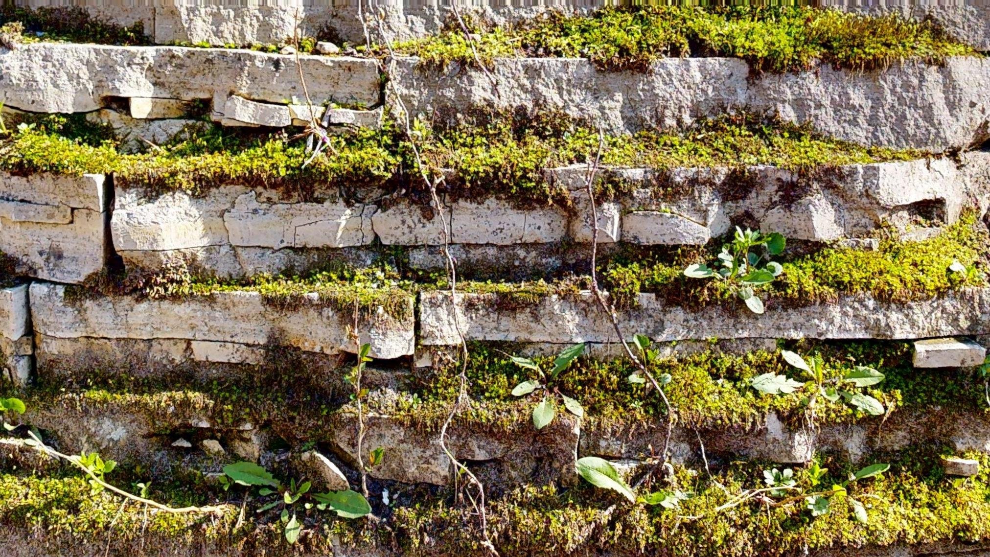 3711-Forest-Gate-Exteriors-04272026_100441.jpg