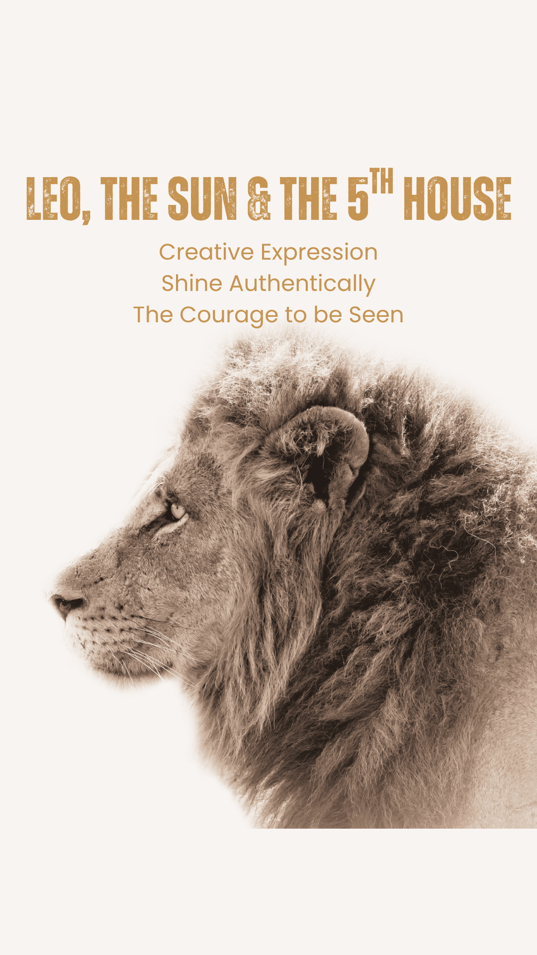Astrology Series Workshop: Leo, the Sun & 5th House