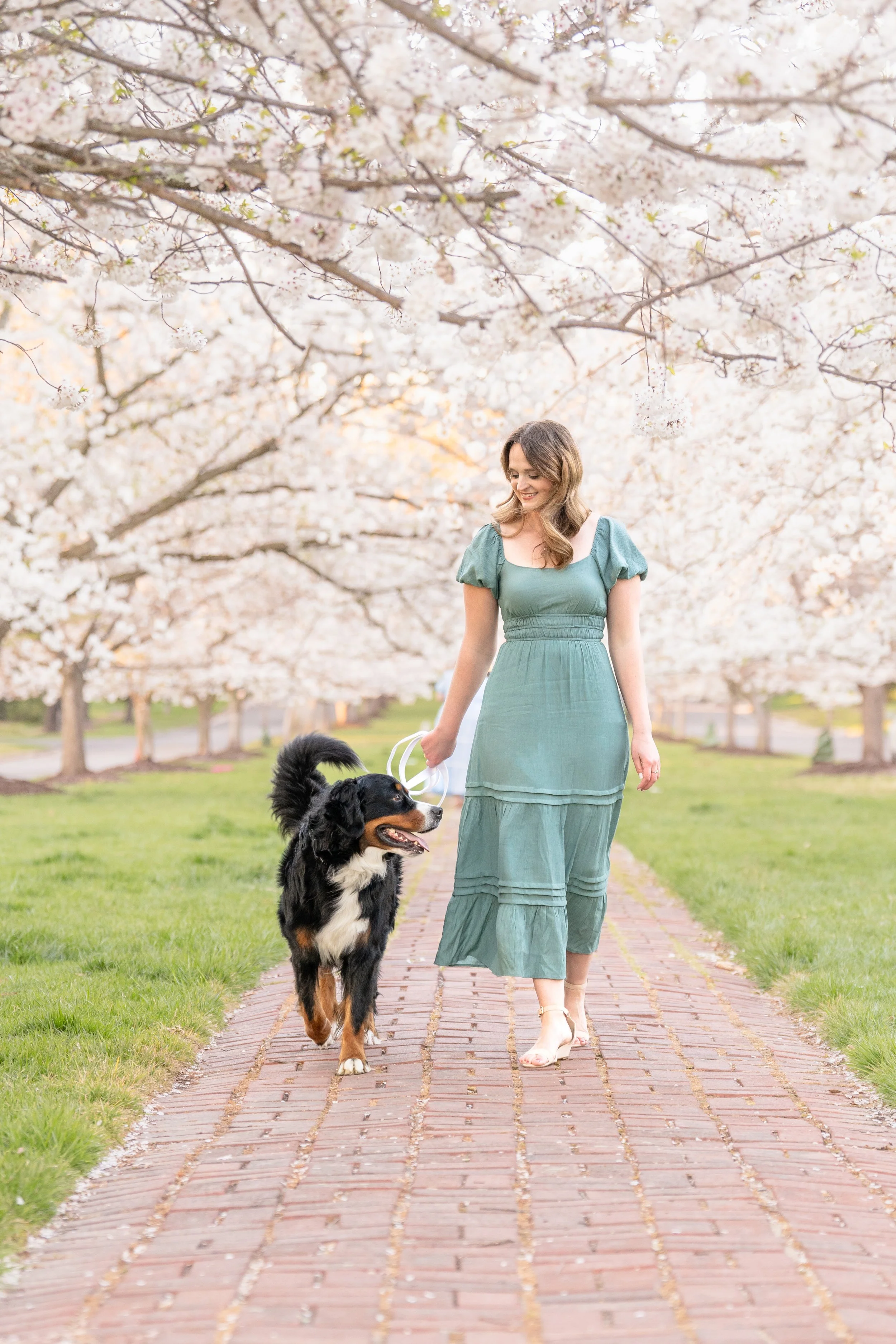 cherry blossom-3.jpg