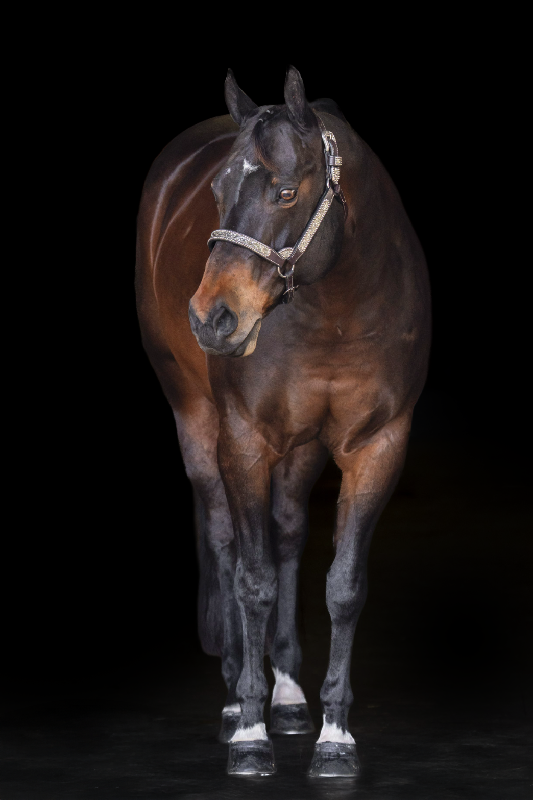 Screenshot 2026-04-11 at 11.37.31 PM.png