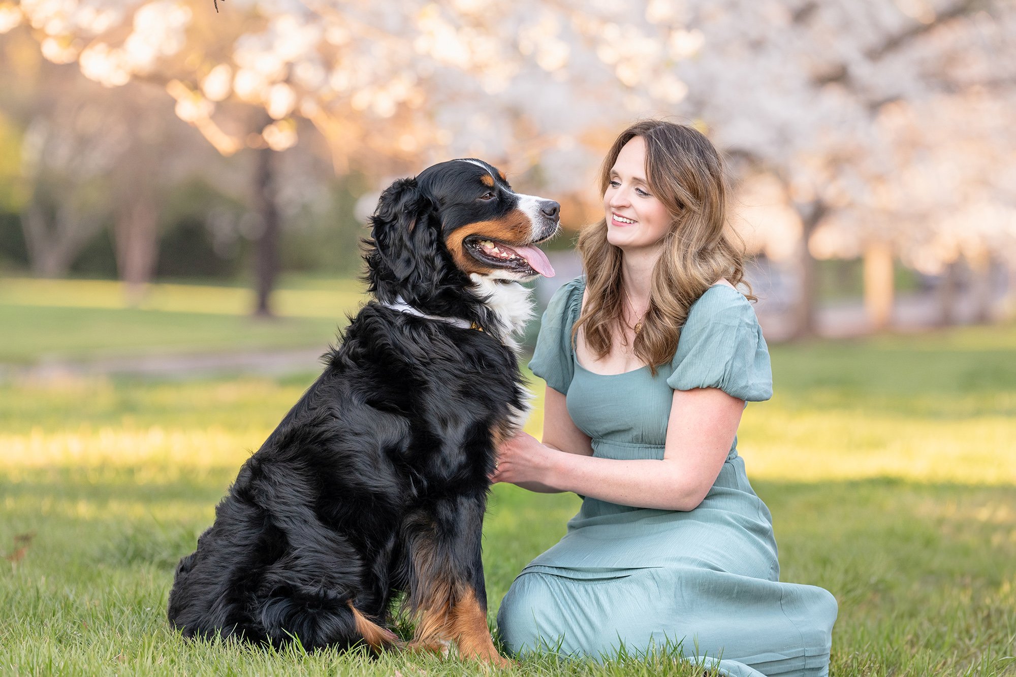 cherry blossom-8small.jpg