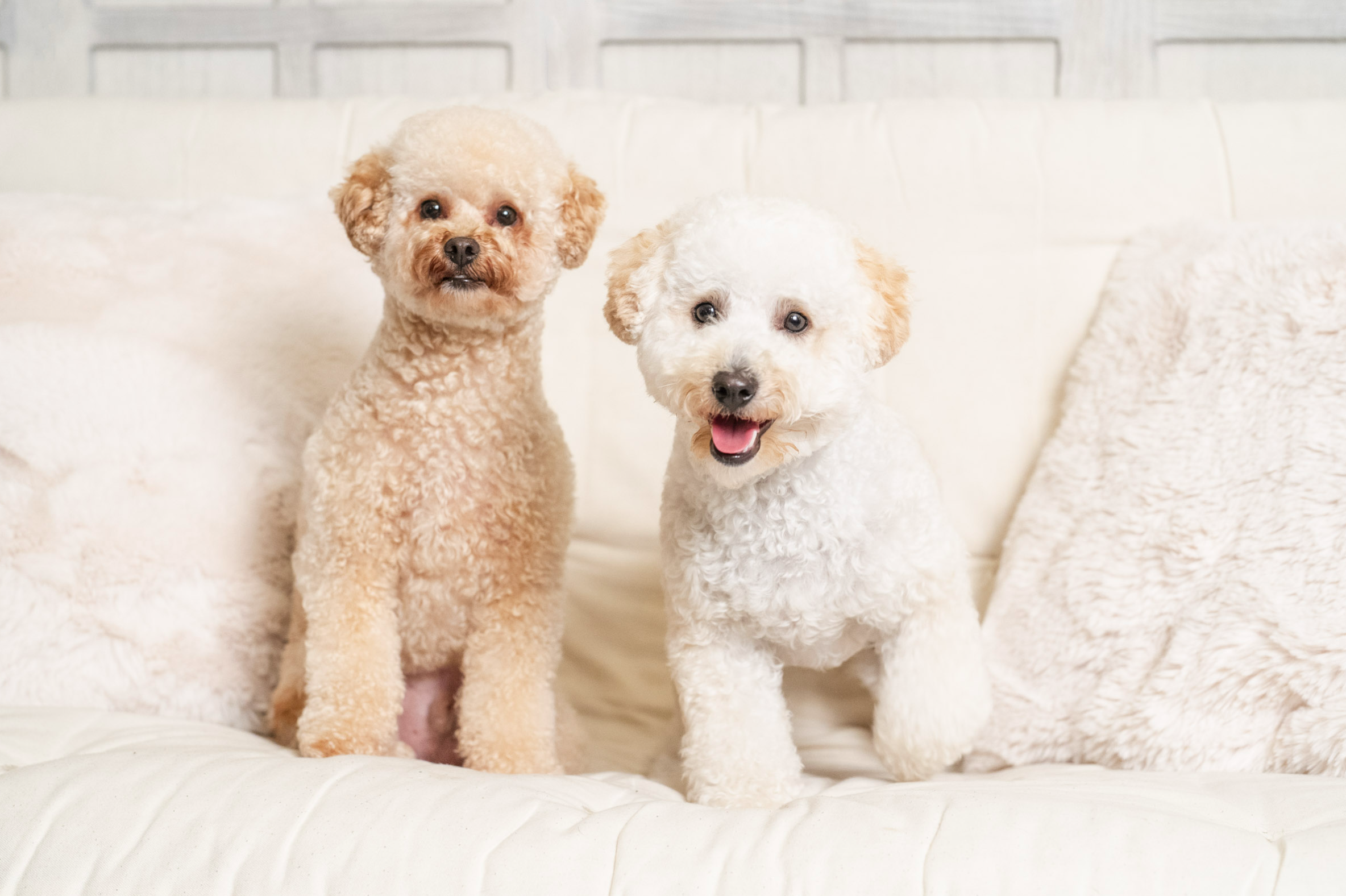 Screenshot 2026-02-02 at 9.36.38 AM.png