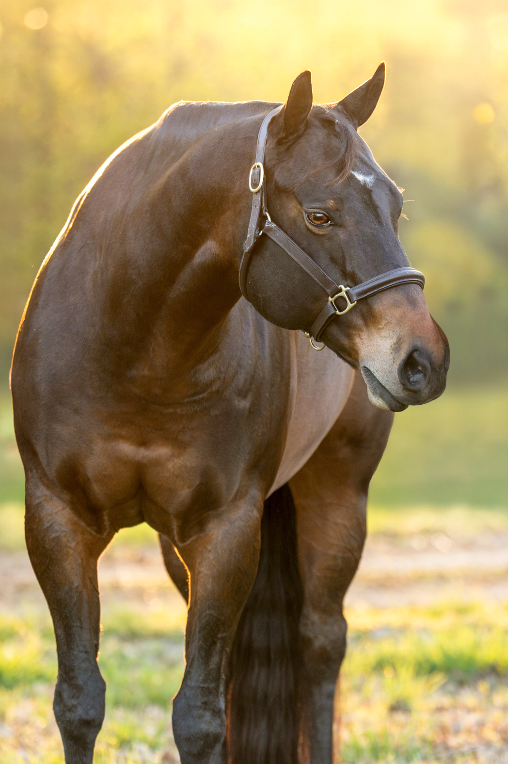 Screenshot 2026-04-12 at 9.33.44 PM.png