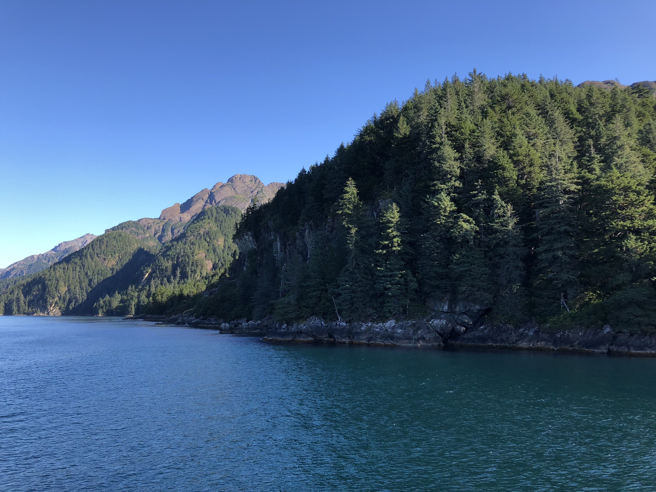  More Kenai Fjords beauty 