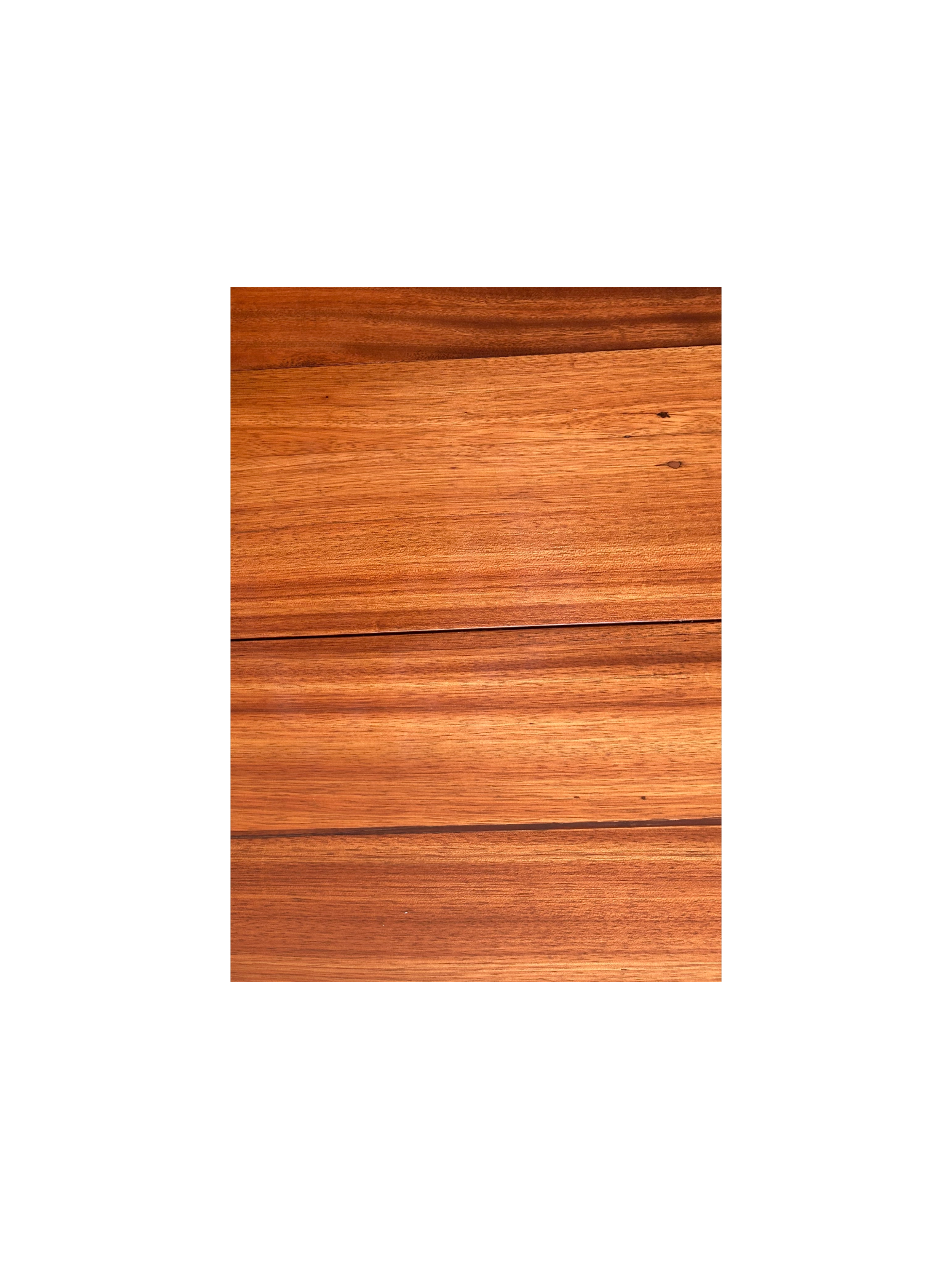 Remove background project (14).png