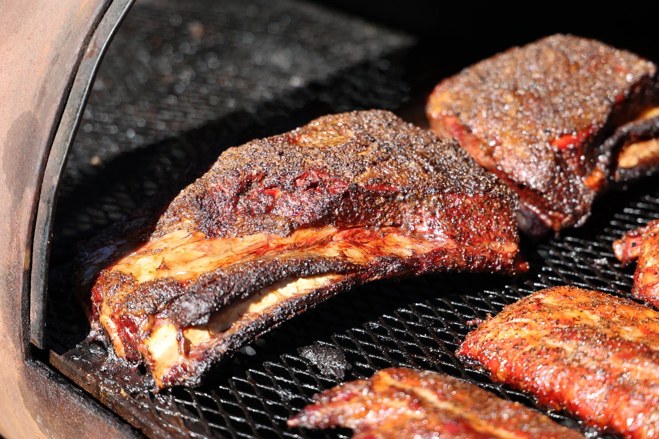 The Dino Ribs