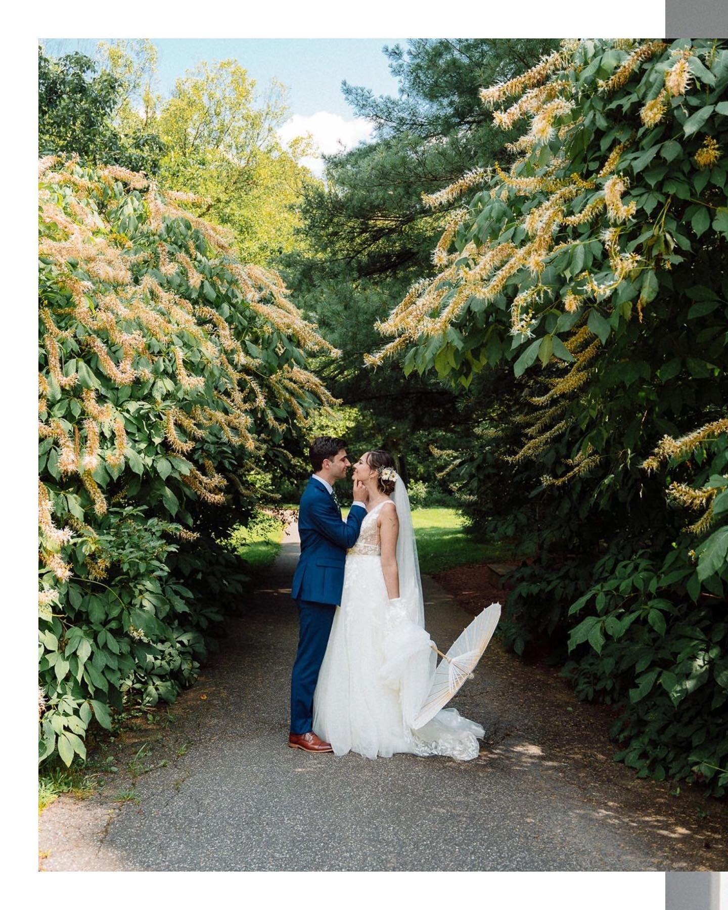 The leaves are changing here in Philly but we&rsquo;re still feeling those July vibes&hellip;

@jackyn22 @mikerossini

#phillyphotographer #philadelphiaphotographer #phillyweddingphotographer #philadelphiaweddingphotographer #phillyfilmphotographer #