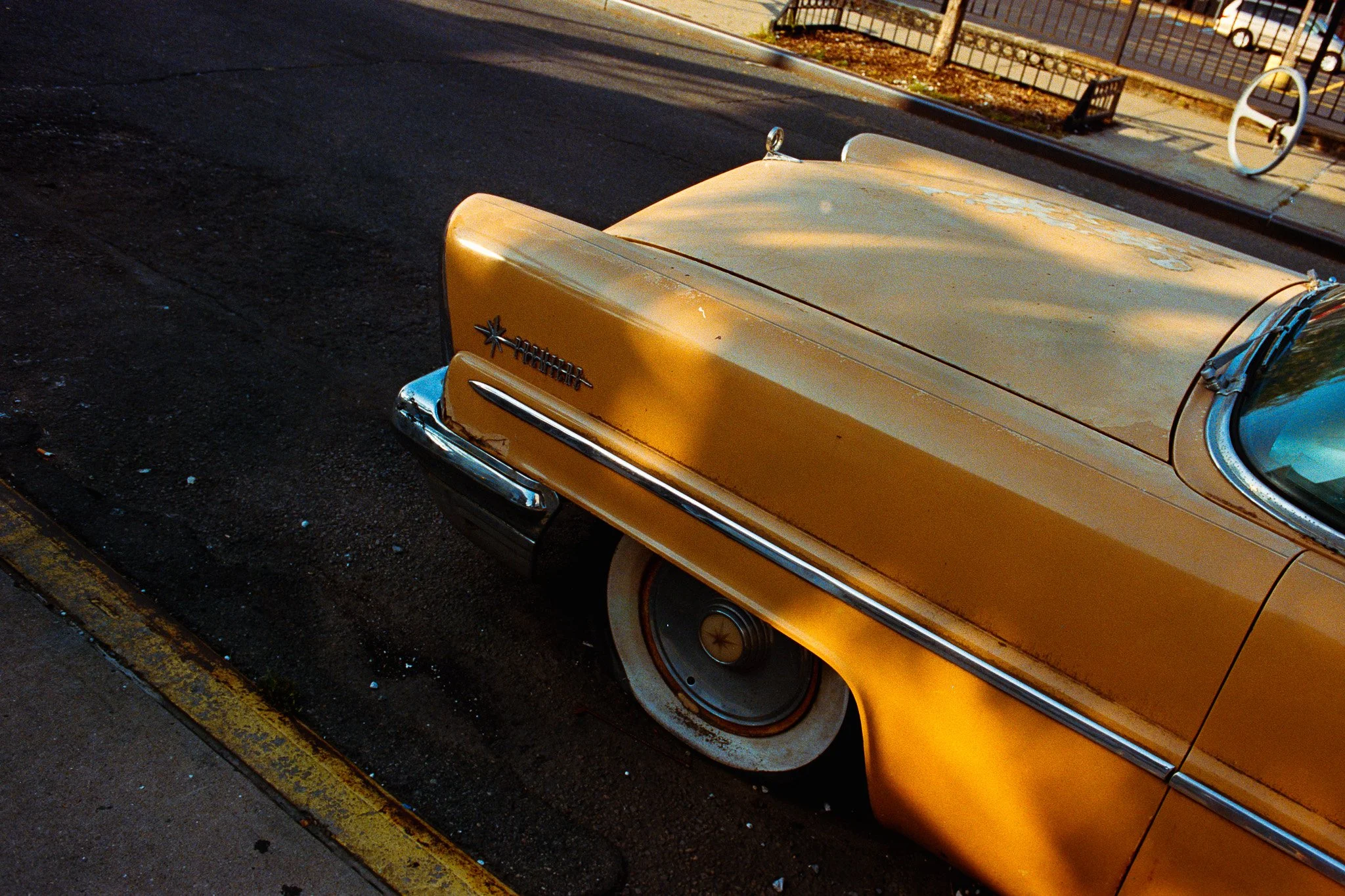 DSC08167-positive.jpg