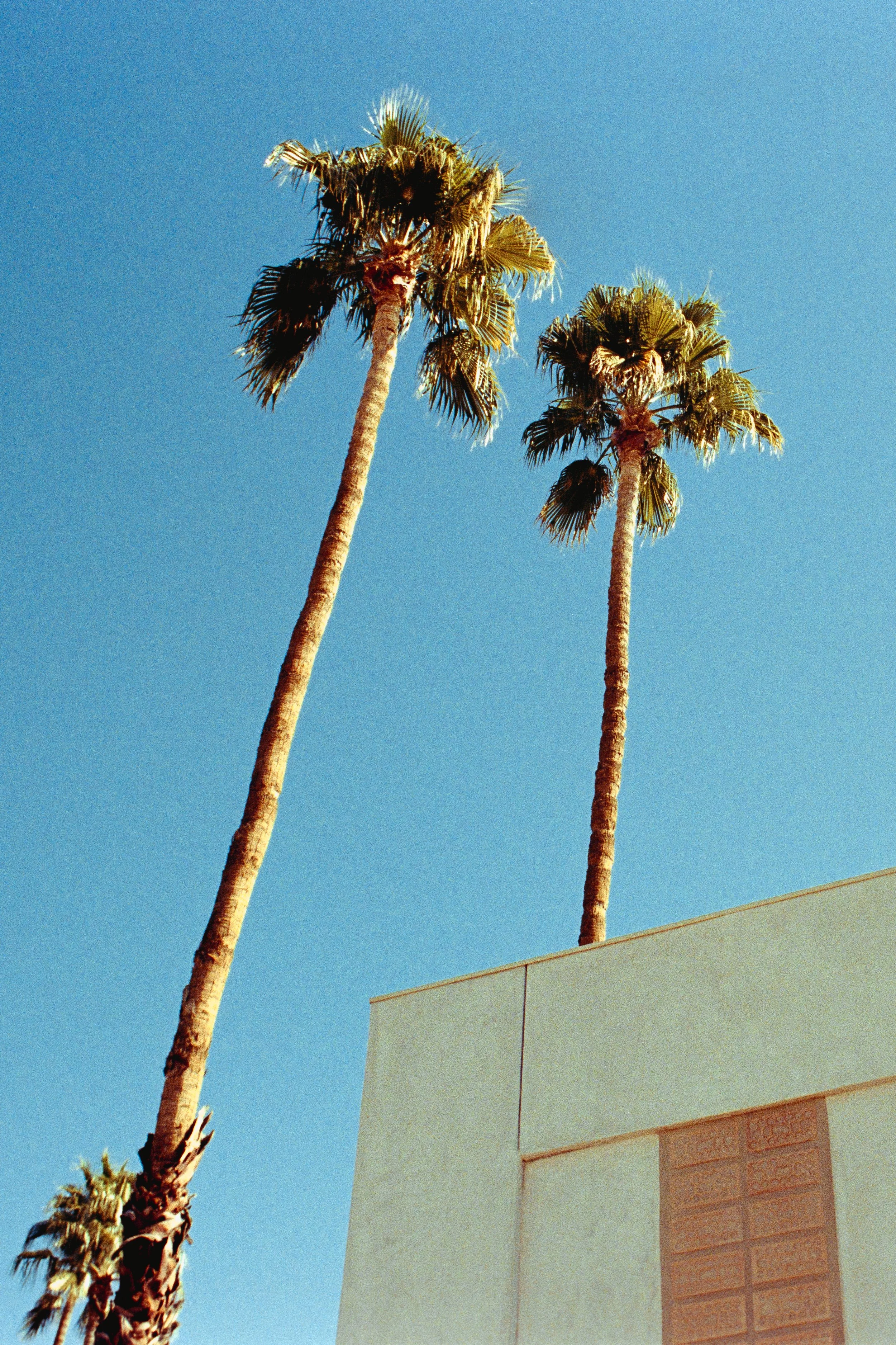 x0100-56.jpg