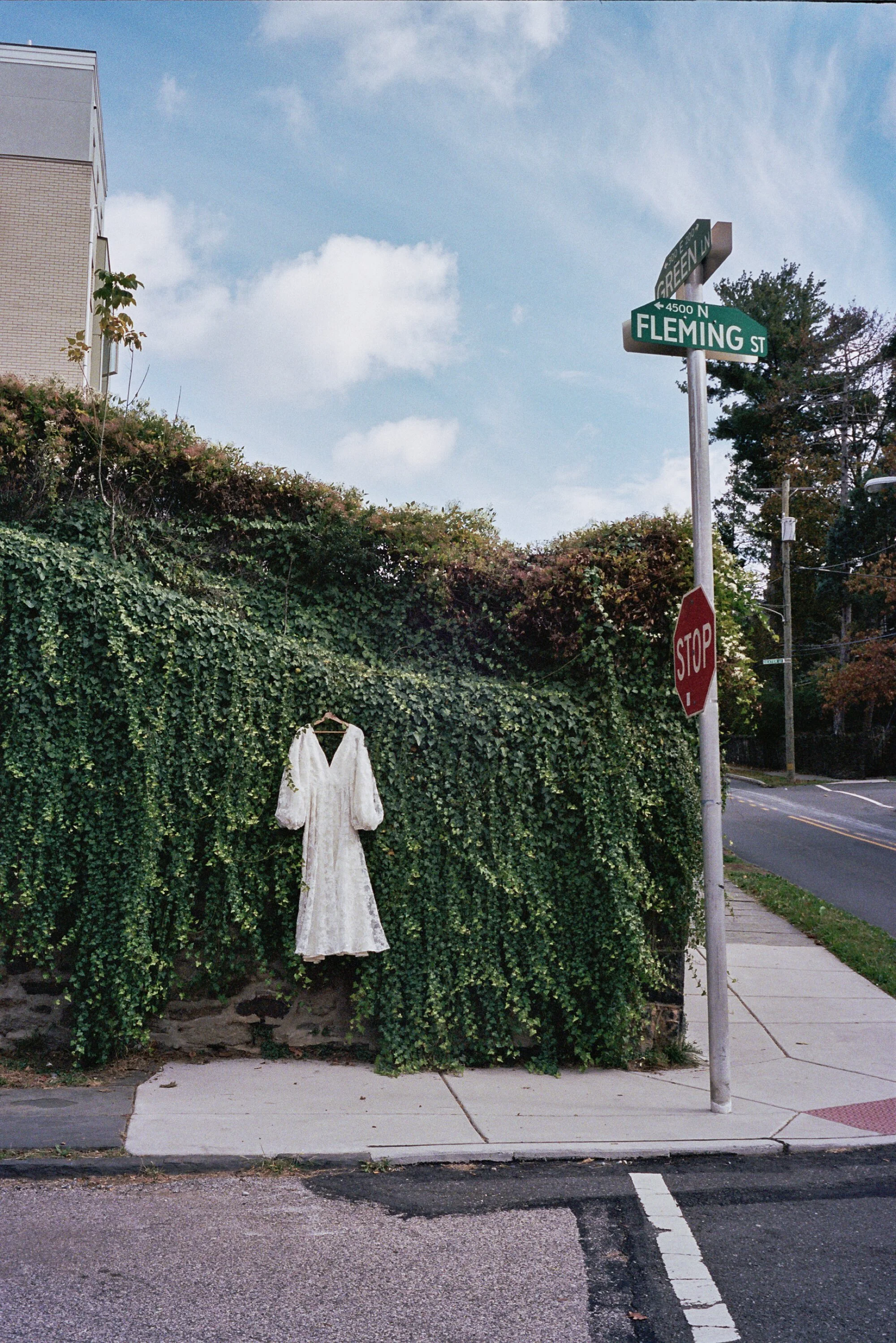 _7A_0988.jpg