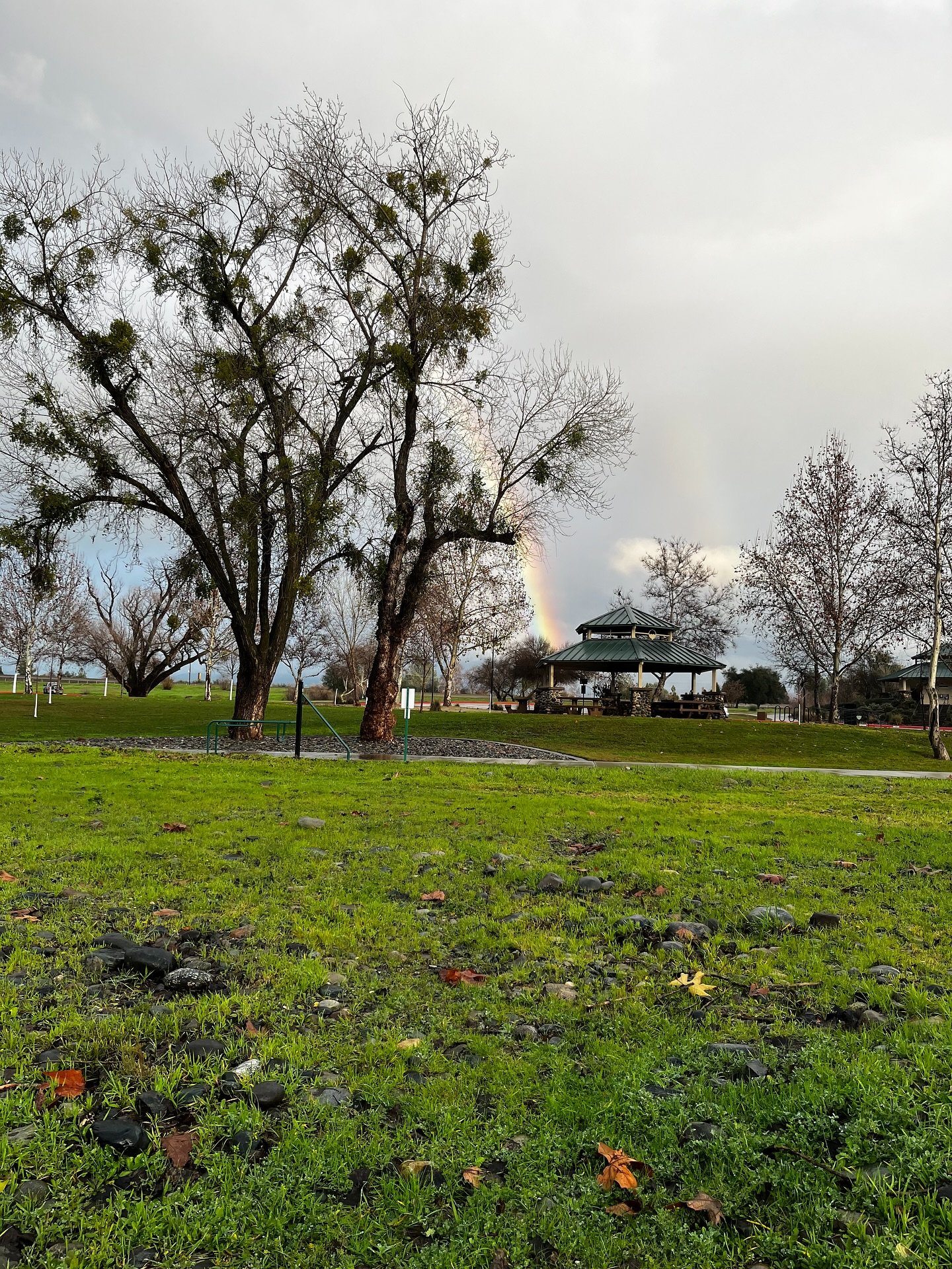 Keep your head to the sky #rainbow