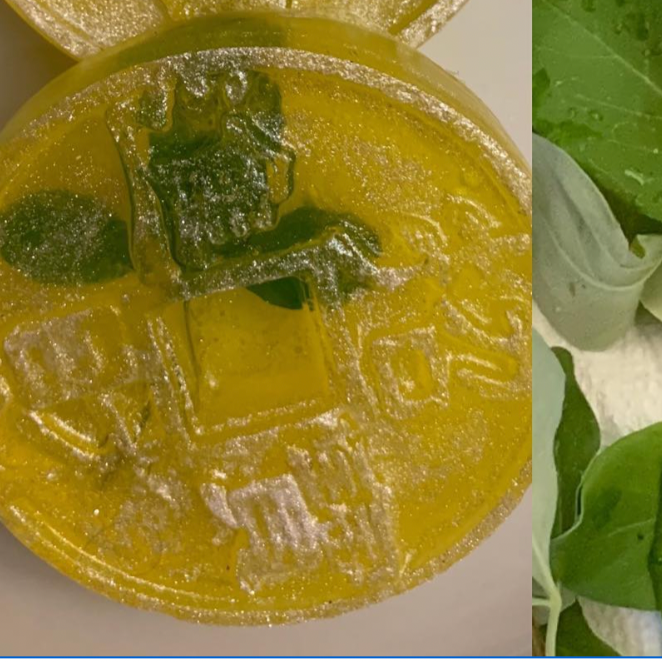 Vencedor Chinese Coin Ritual Bath Bars