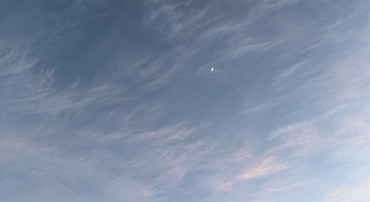 IMG_E4A8A21EE395-1.jpeg