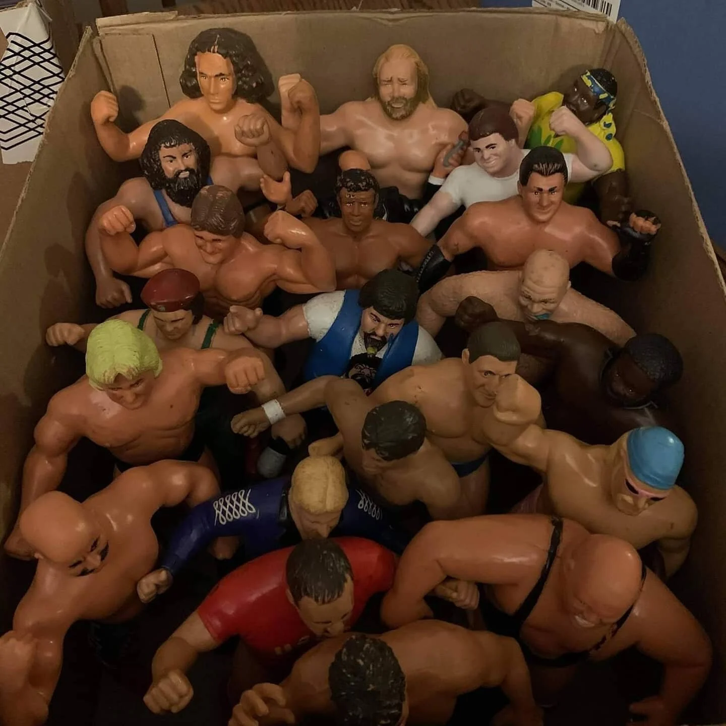 Wrestling Action Figures