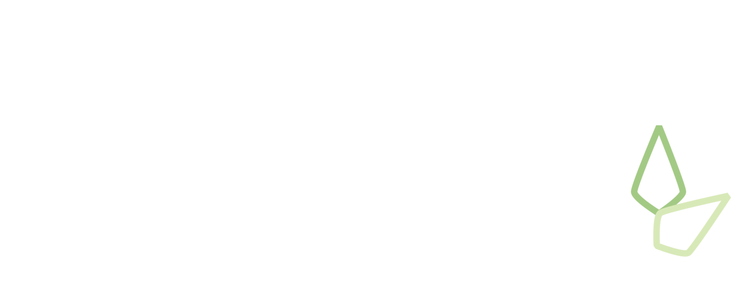 Southern Medical Limited #1