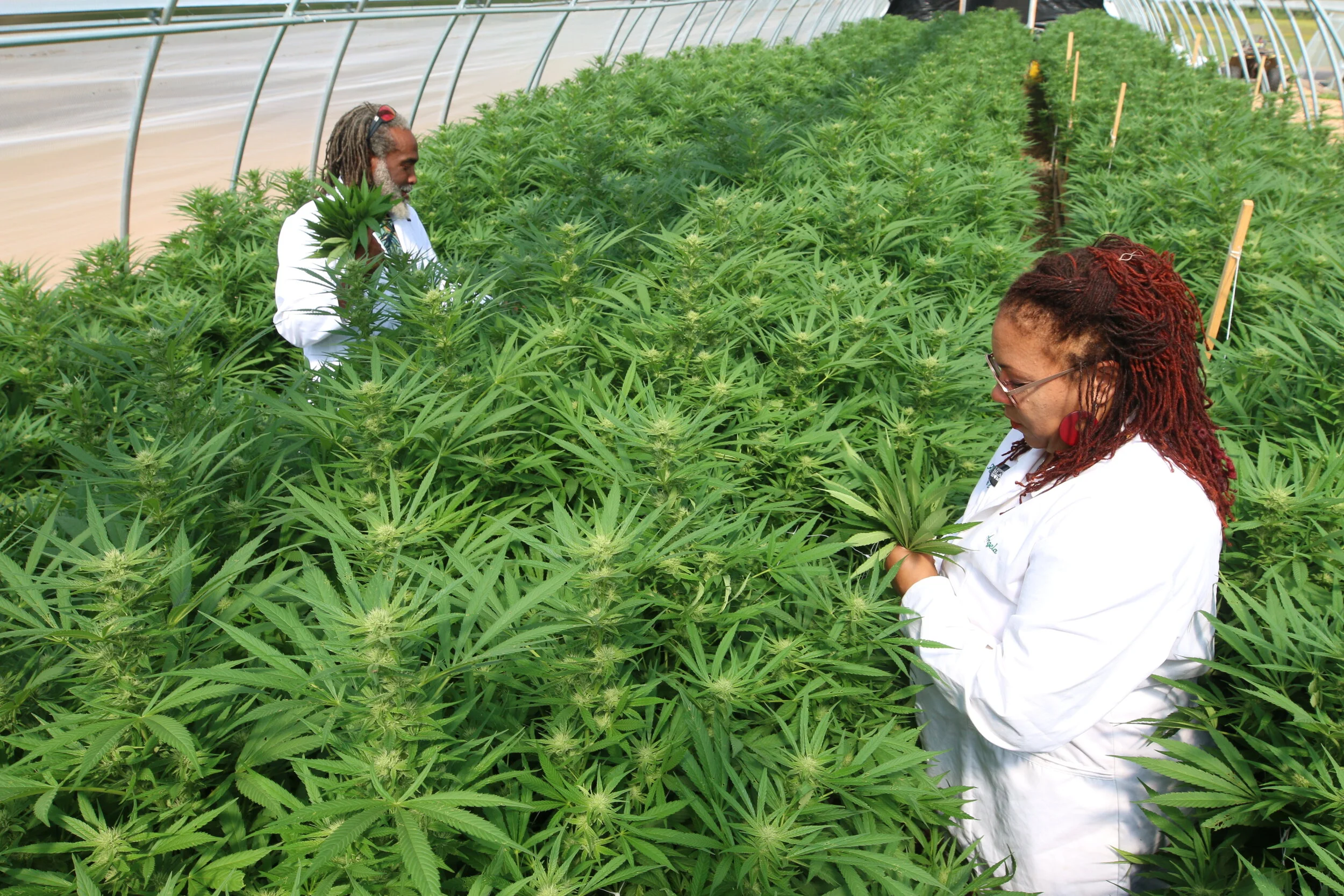 both in hoophouse.JPG