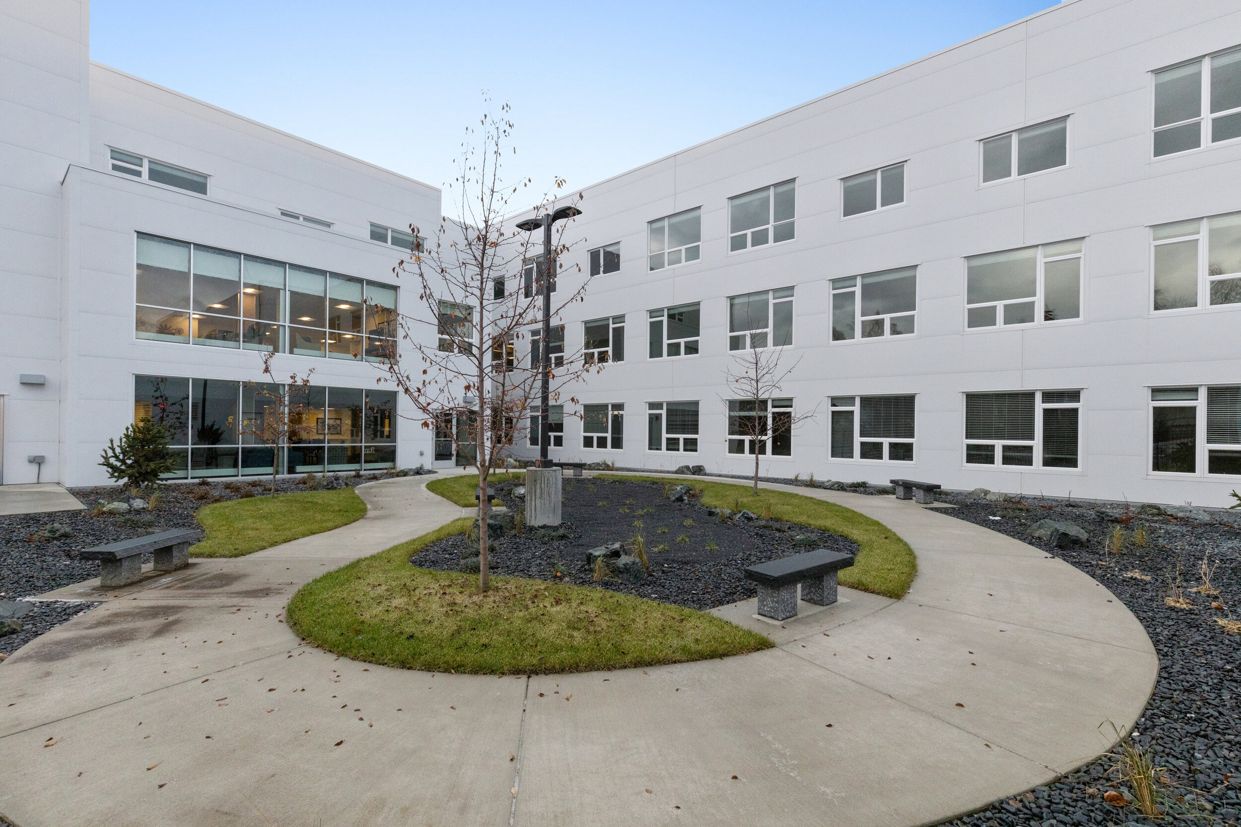 Exterior Back-20191115-2158.jpg