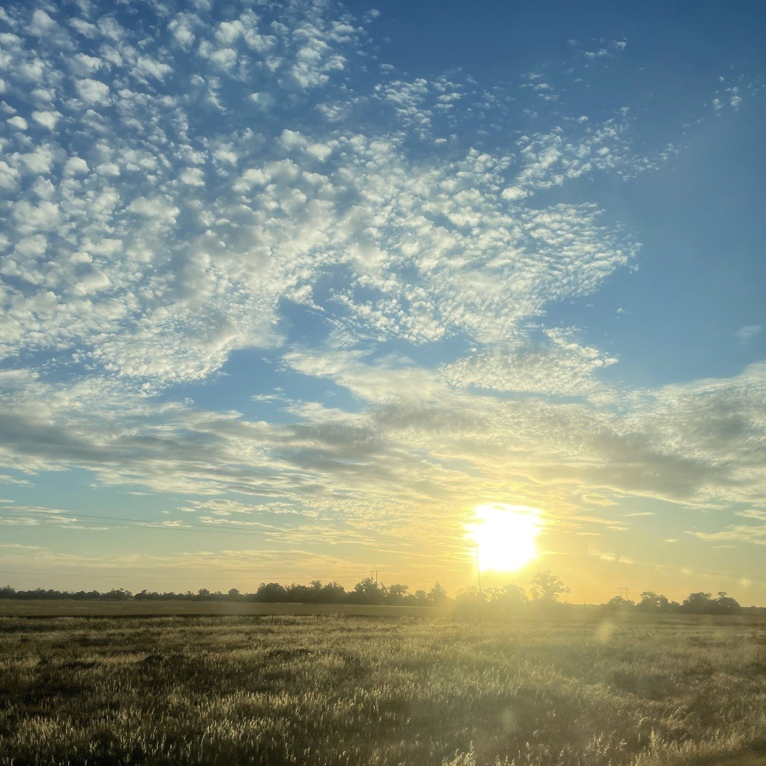 With November clocking out for the year, the holiday chaos is about to clock in: Christmas, New Year, ANZAC Day, and a whole line-up of stress-inducing &quot;special occasions&quot;! Treat yourself now and book a blissful getaway at the Resort. (Doct