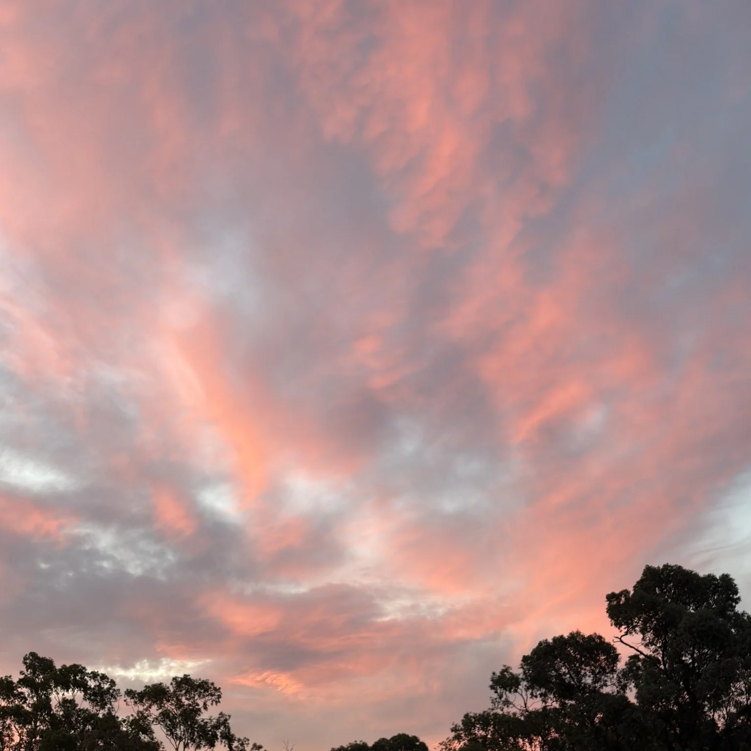 Autumn sunset, complete with blushing clouds in a pastel painted sky.

Visit Deni 
Deniliquin Business Chamber 
Deniliquin Golf Club
#visitdeni 
#doitindeni 
#destinationriverinamurray 
#riverinamurray
#visitNSW 
#destination_nsw 
#visitrivercountry 