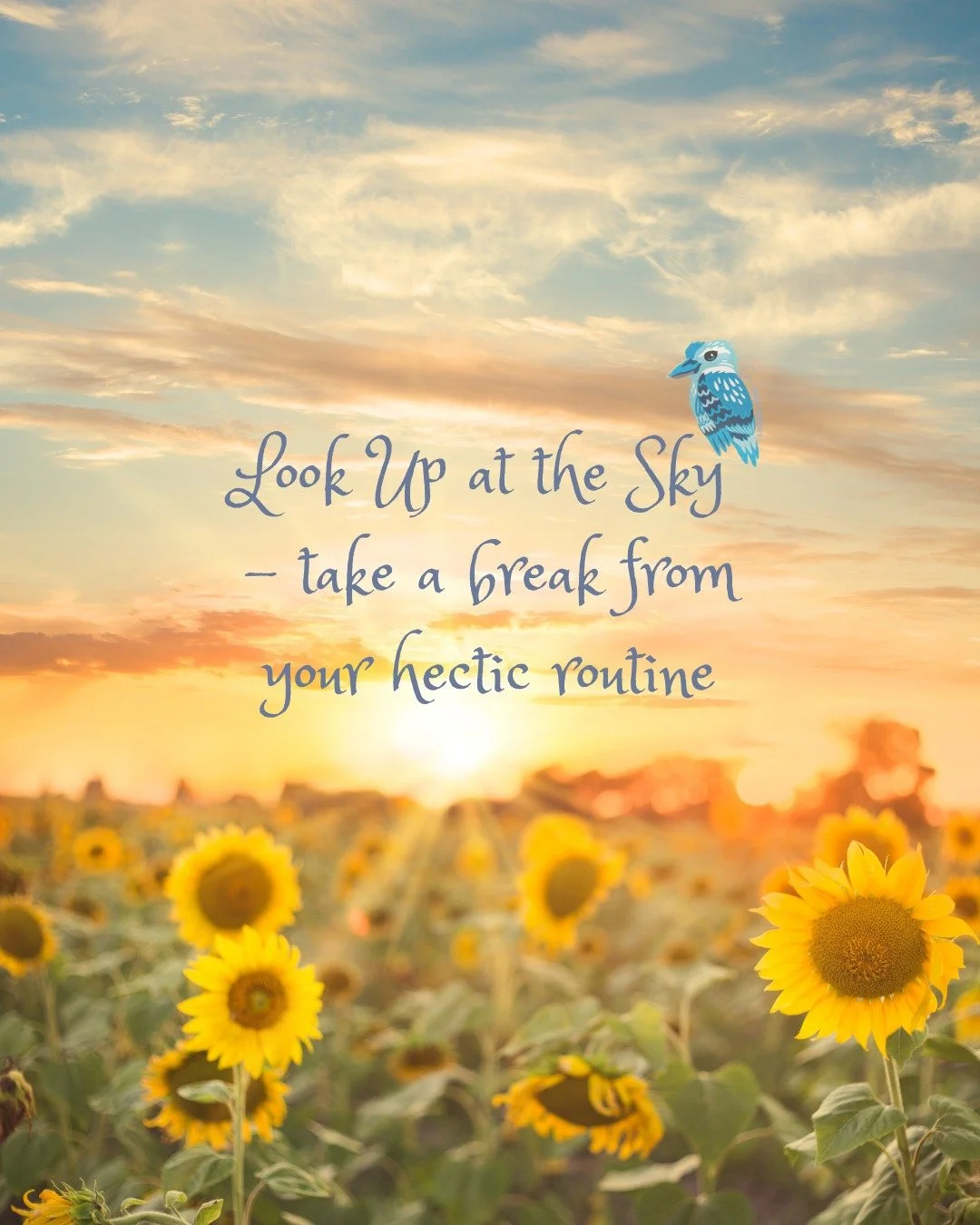 Step outside and appreciate the beauty of the sky - admire the beauty above us. Use the day to reconnect with nature - observe the clouds, the sun, or stars and reduce stress! Deni is big sky country!
.
.
.
Visit Deni 
Deniliquin Business Chamber 
De