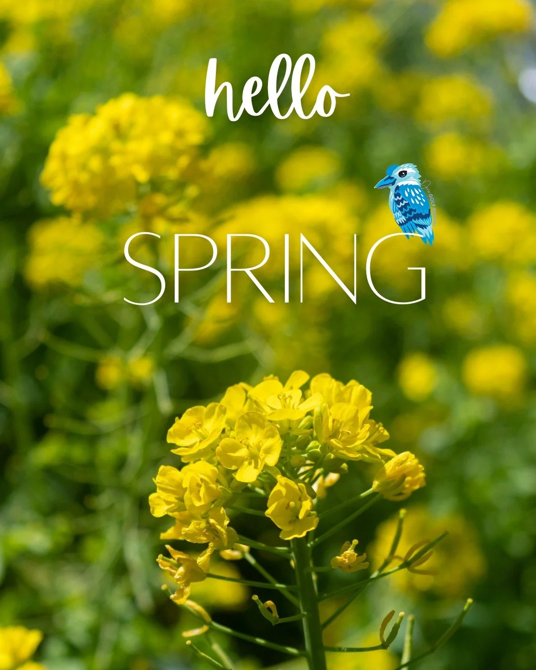 Longer days, warmer sunshine, colourful gardens and that wonderful feeling that summer is just around the corner!
Why not make the most of the new season with a little getaway?
Come and enjoy a few days of country sunshine, relaxation and a change of
