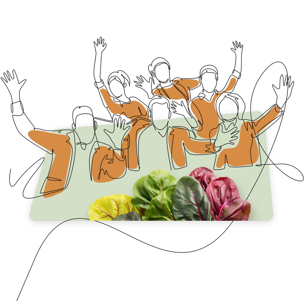 Illustration of the Galley team