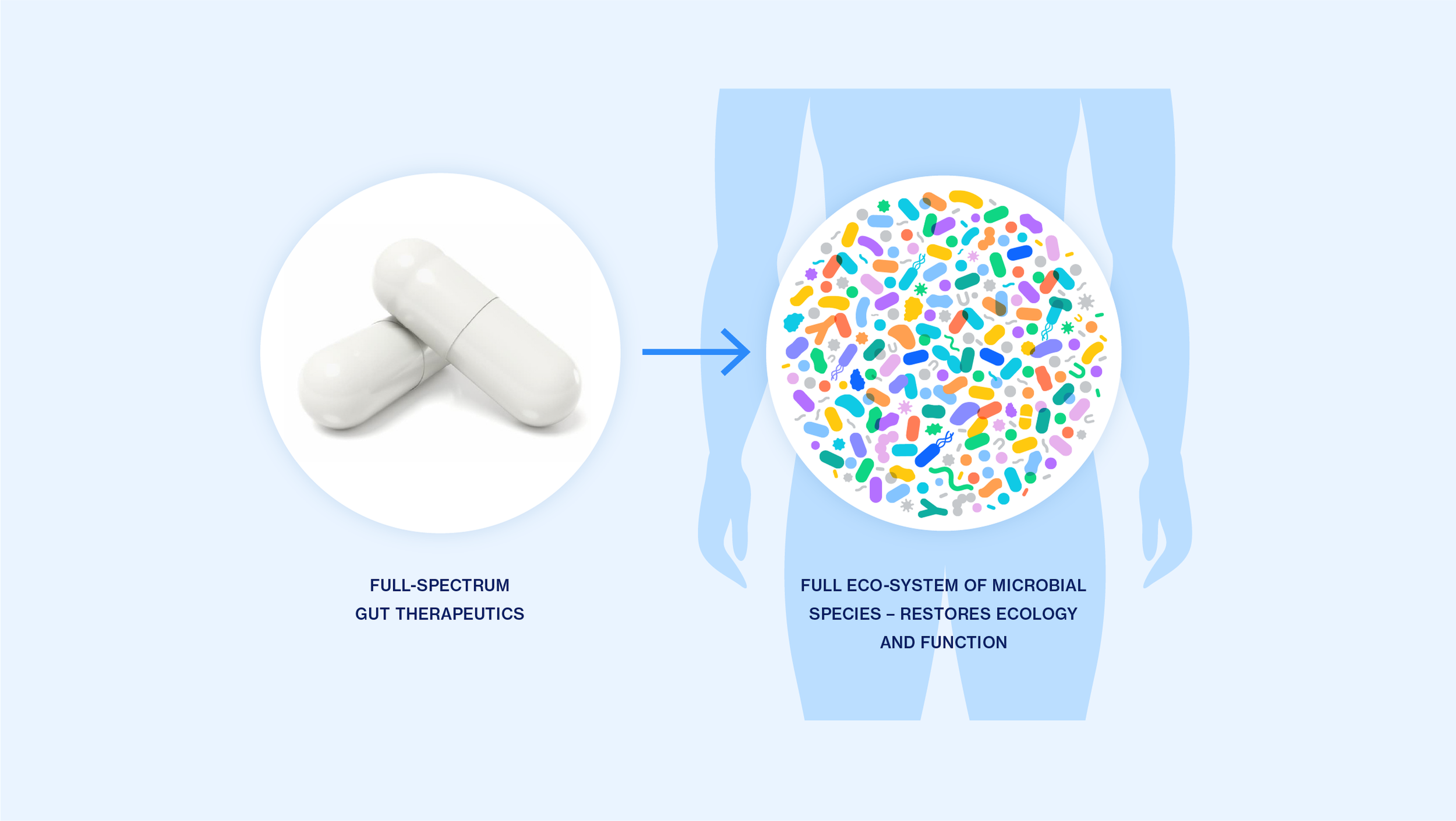 EBXs modern version of Intestinal Microbiome Transplantation