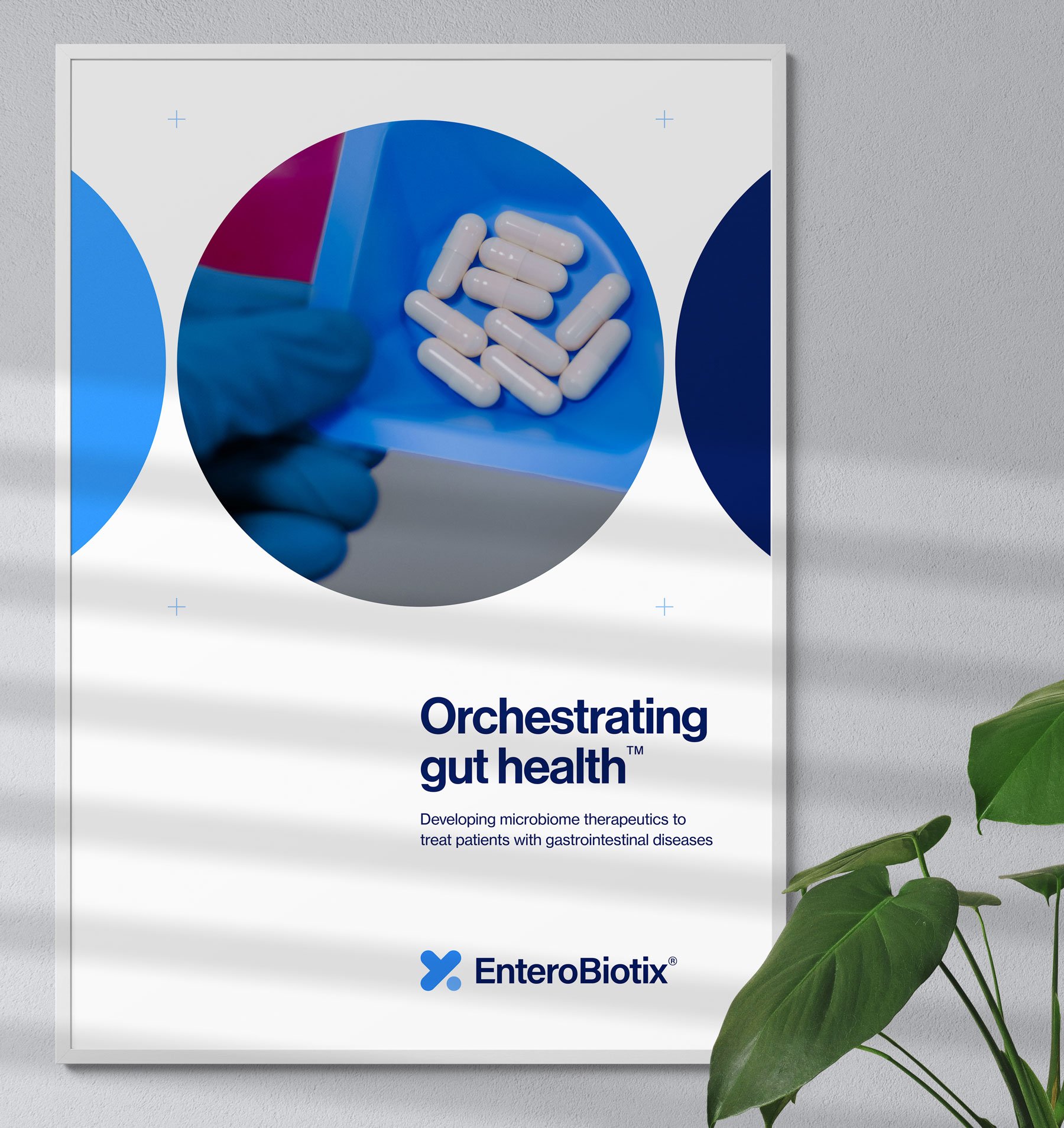 EBX internal poster series