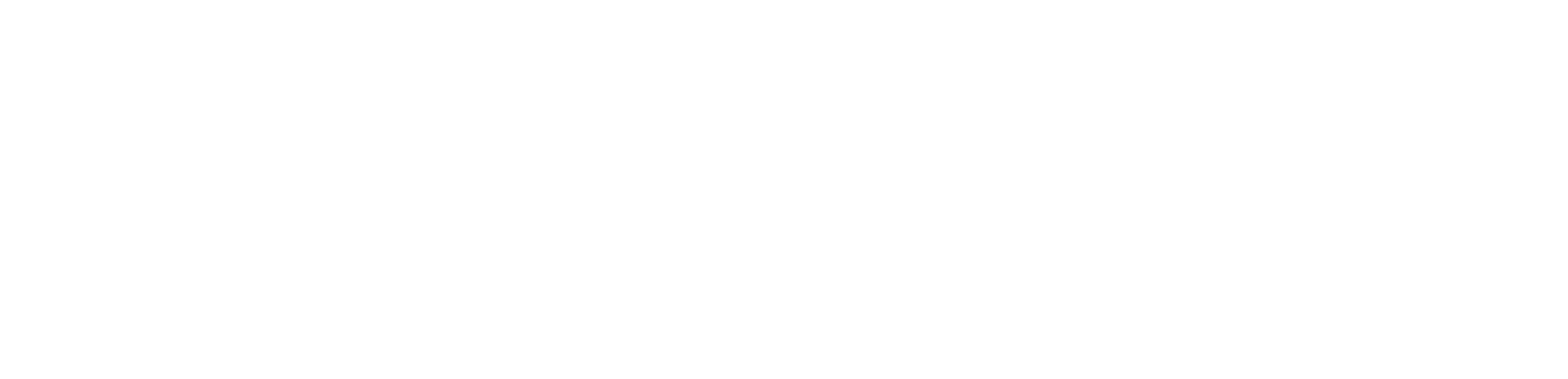 ALLDOQ logo – white