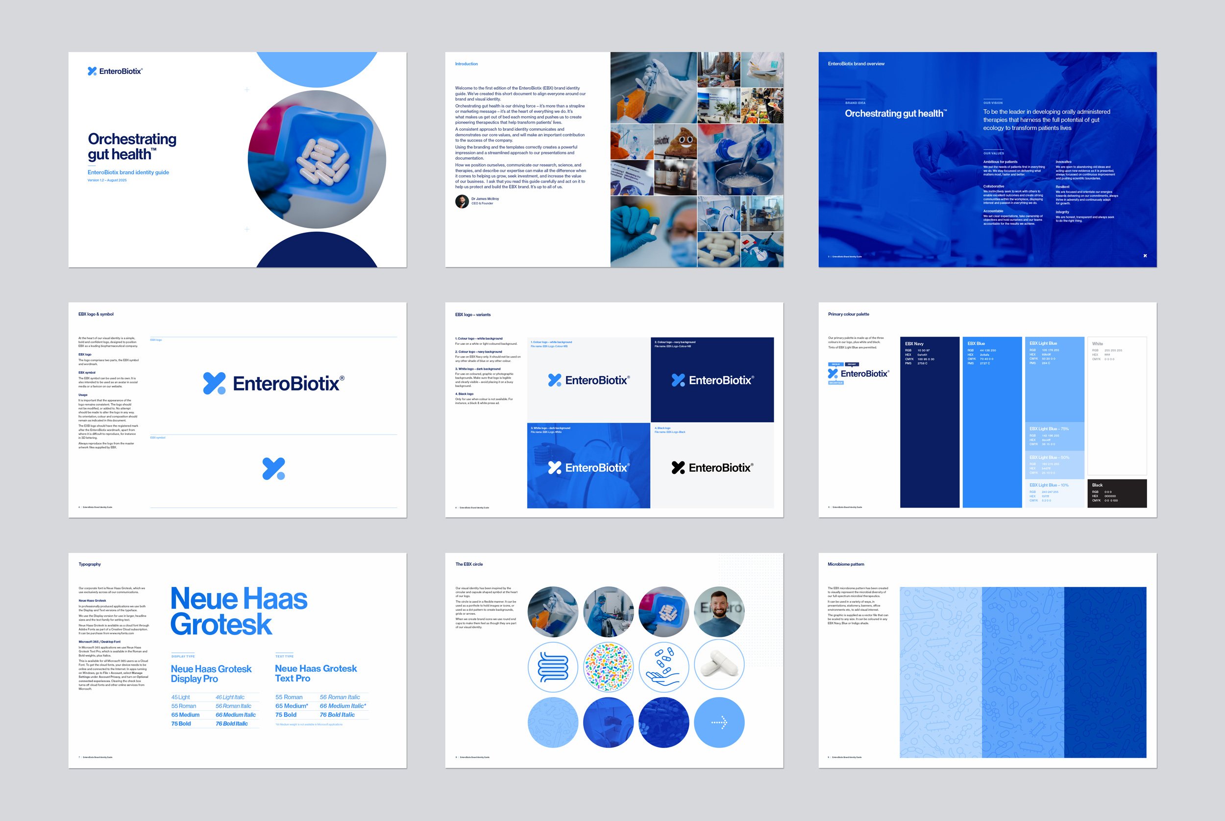EBX brand guidelines