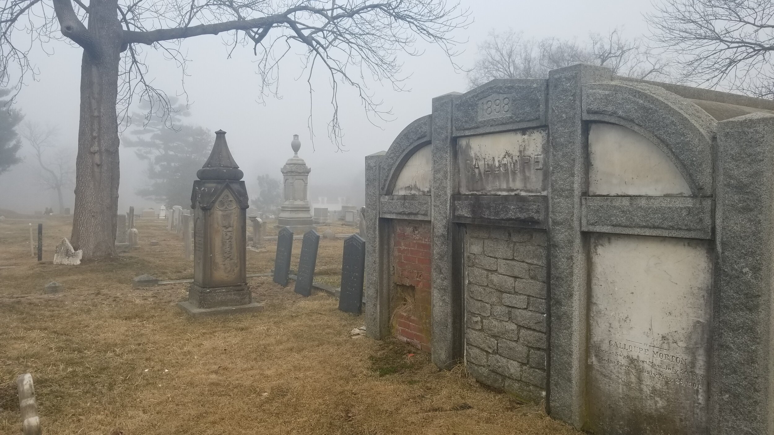 20210325_183347.jpg