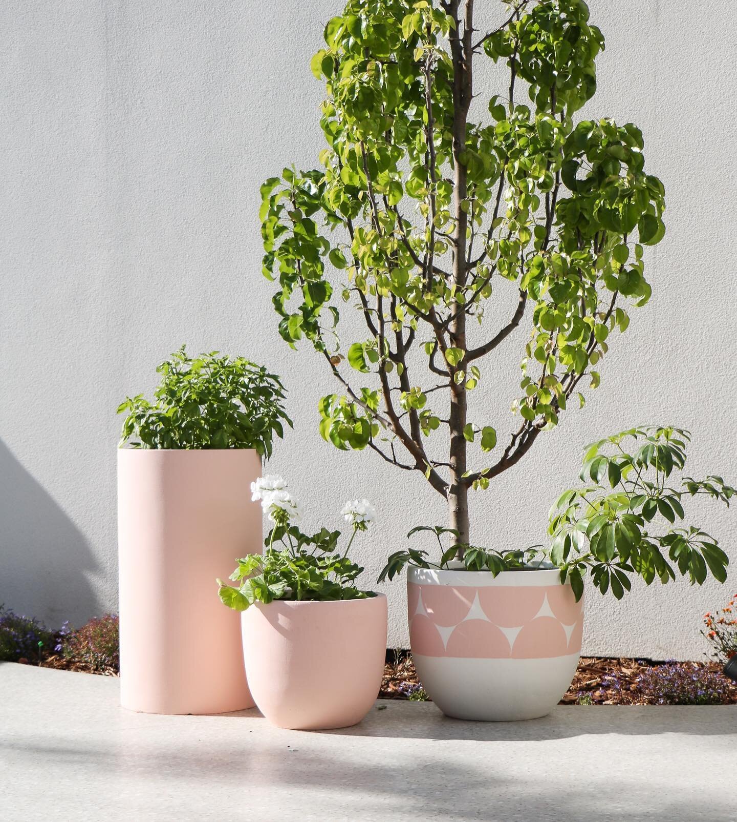 Would your mother like a new &Scaron;olta pot to bring her joy on Mother&rsquo;s Day. We have a huge selection of hand painted lightweight pots available here in Doubleview.