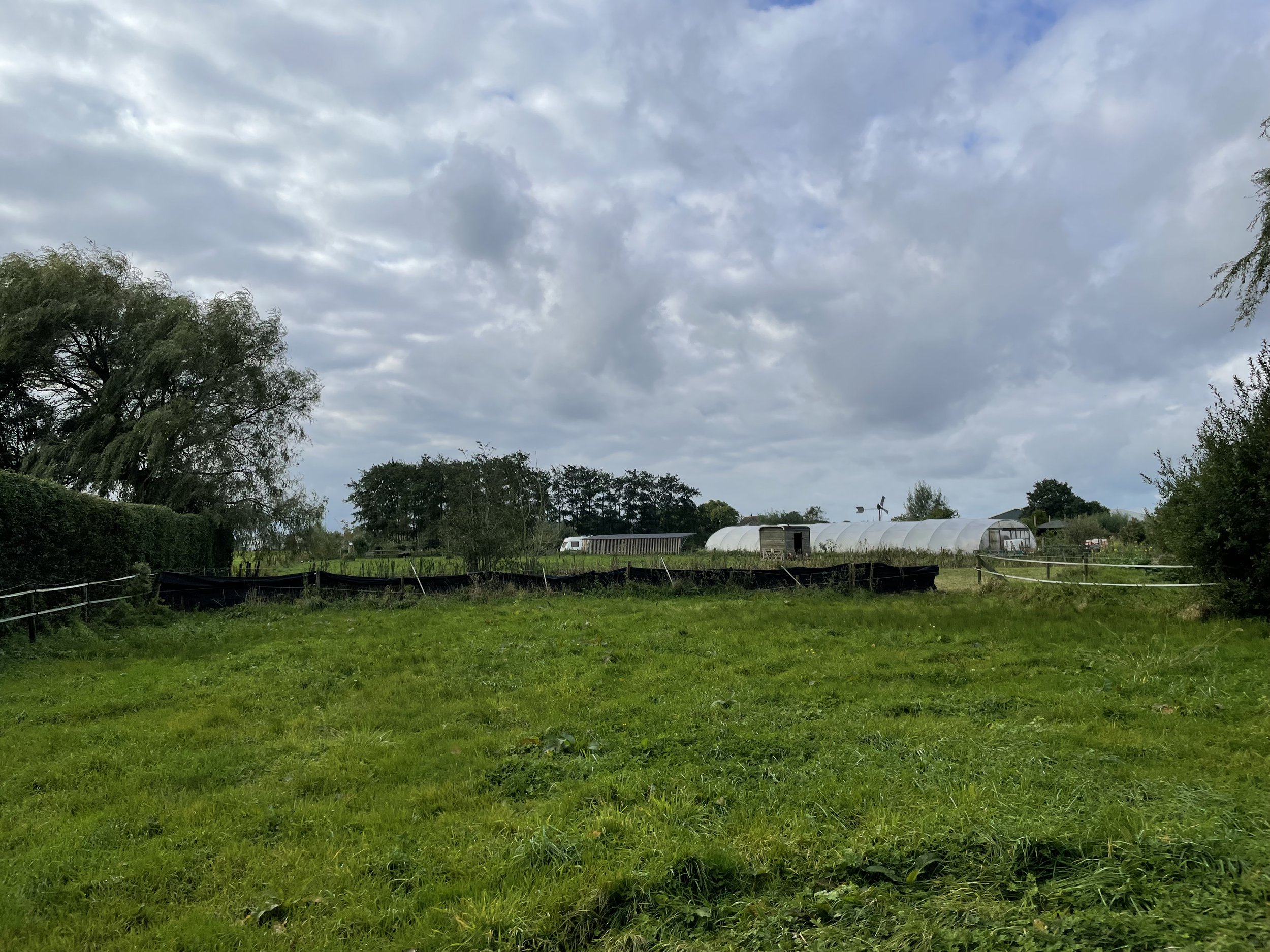 IMG_2946.jpeg