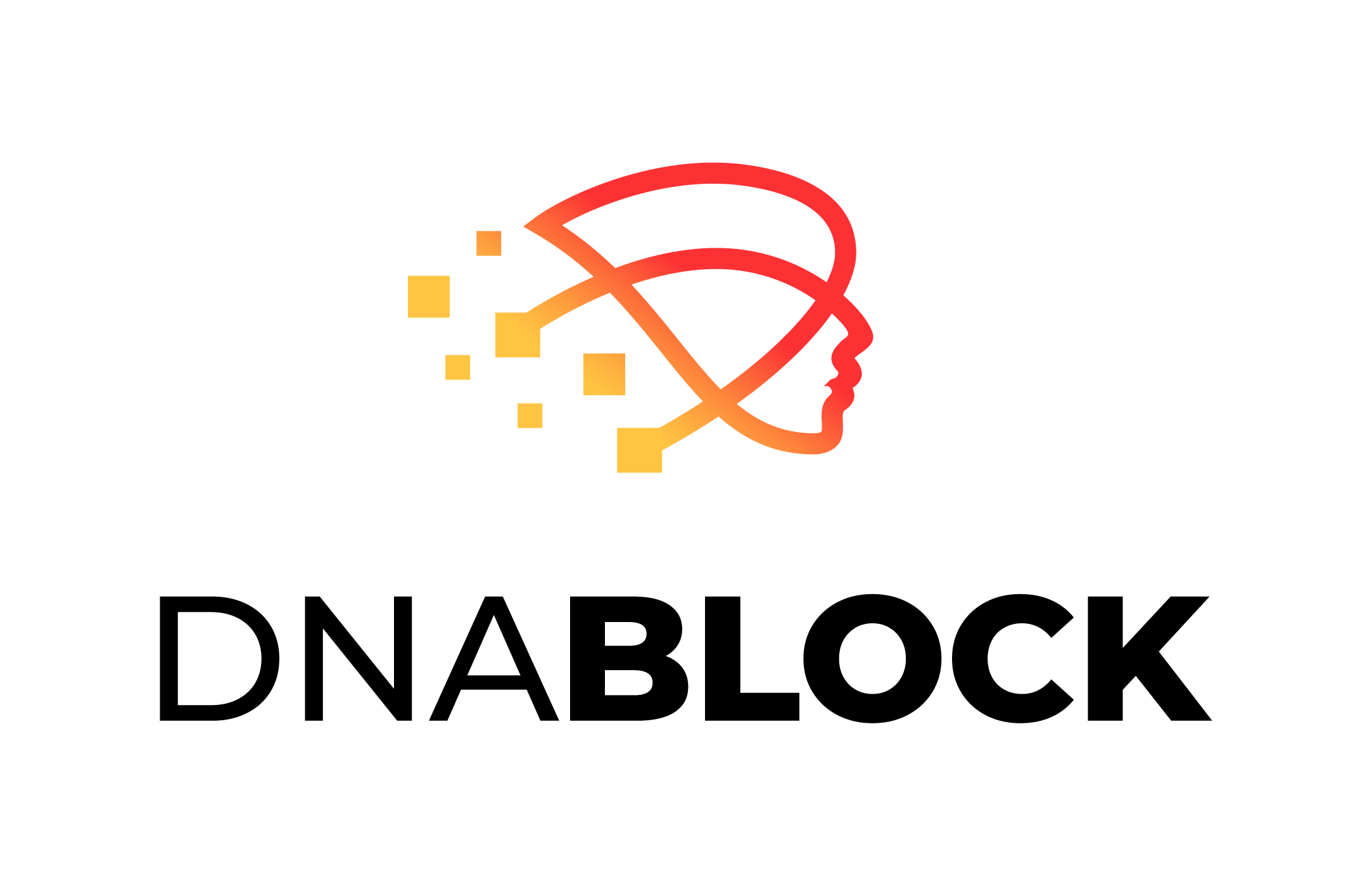 DNABlock logo