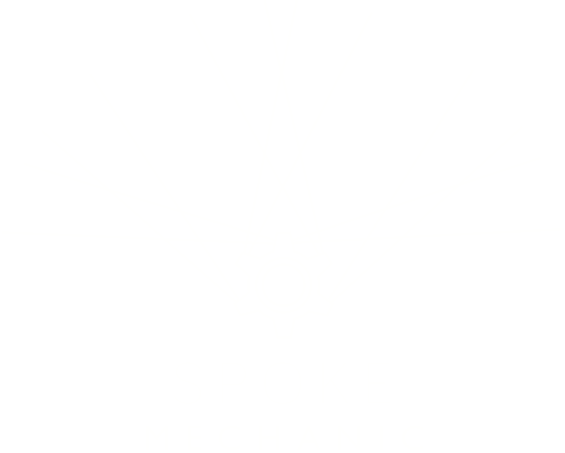 Spoke Mechanic
