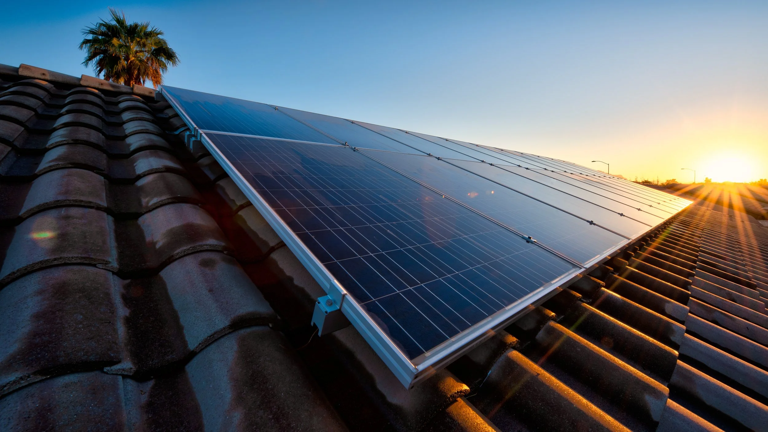 Solar panels installed on a tiled roof with a palm tree in the background, sun setting on the horizon.
