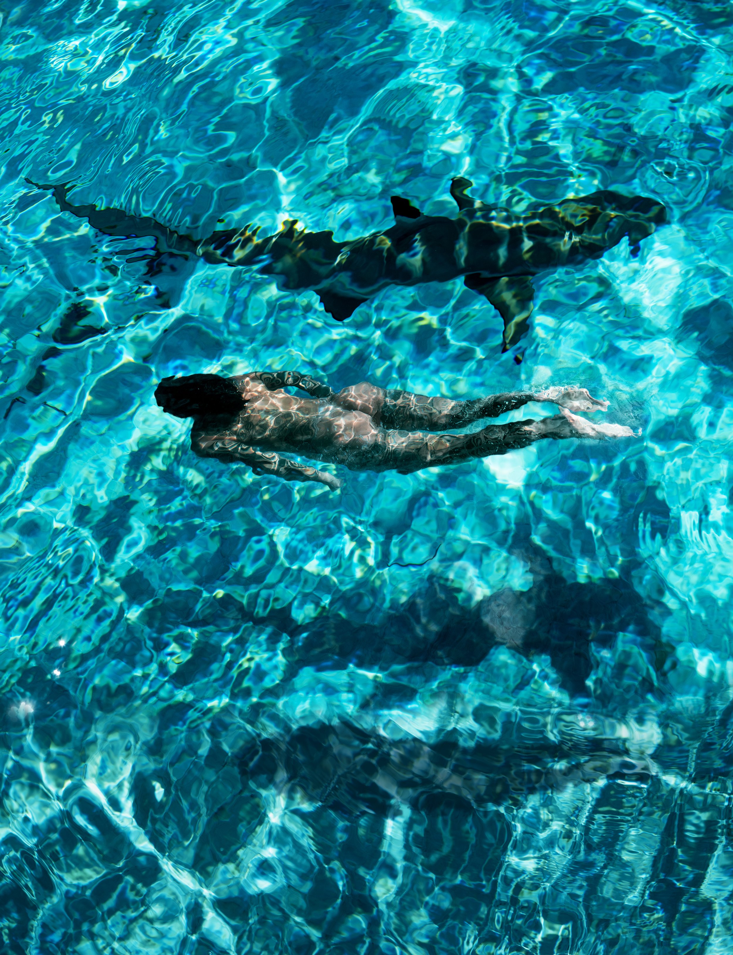 Shark_WEWO_1_23x30_Druck.jpg