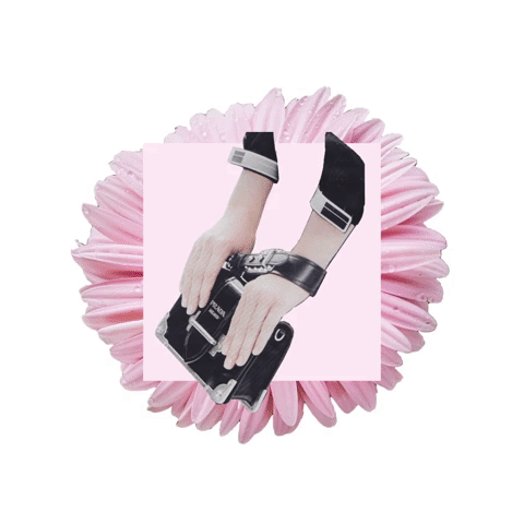 moodboard2.gif