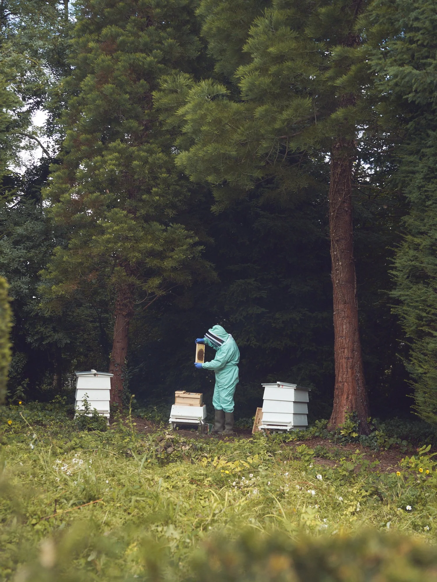 Bee Keeper