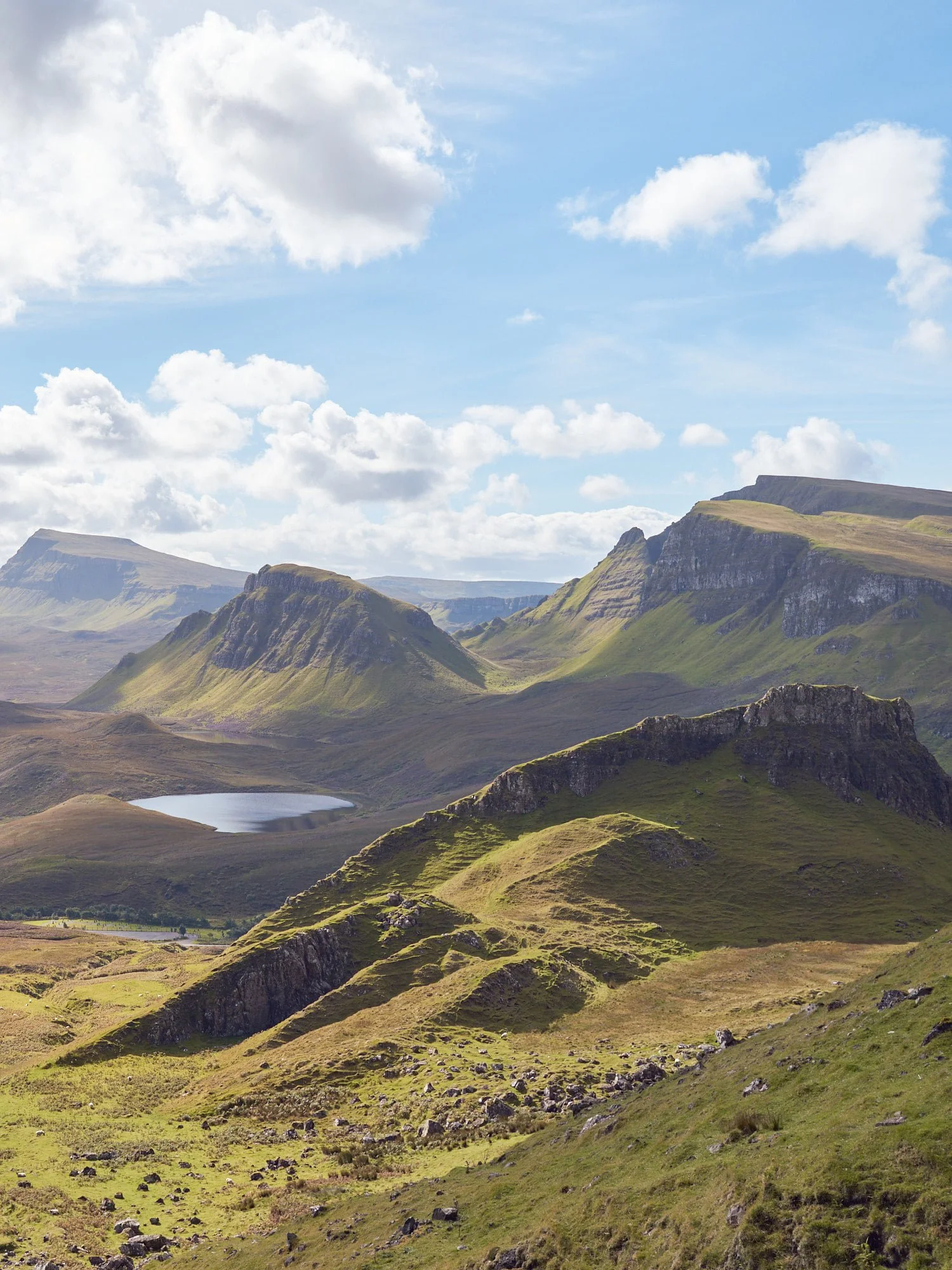 119947820_10158453646946070_8798000947905091253_n (1).jpg